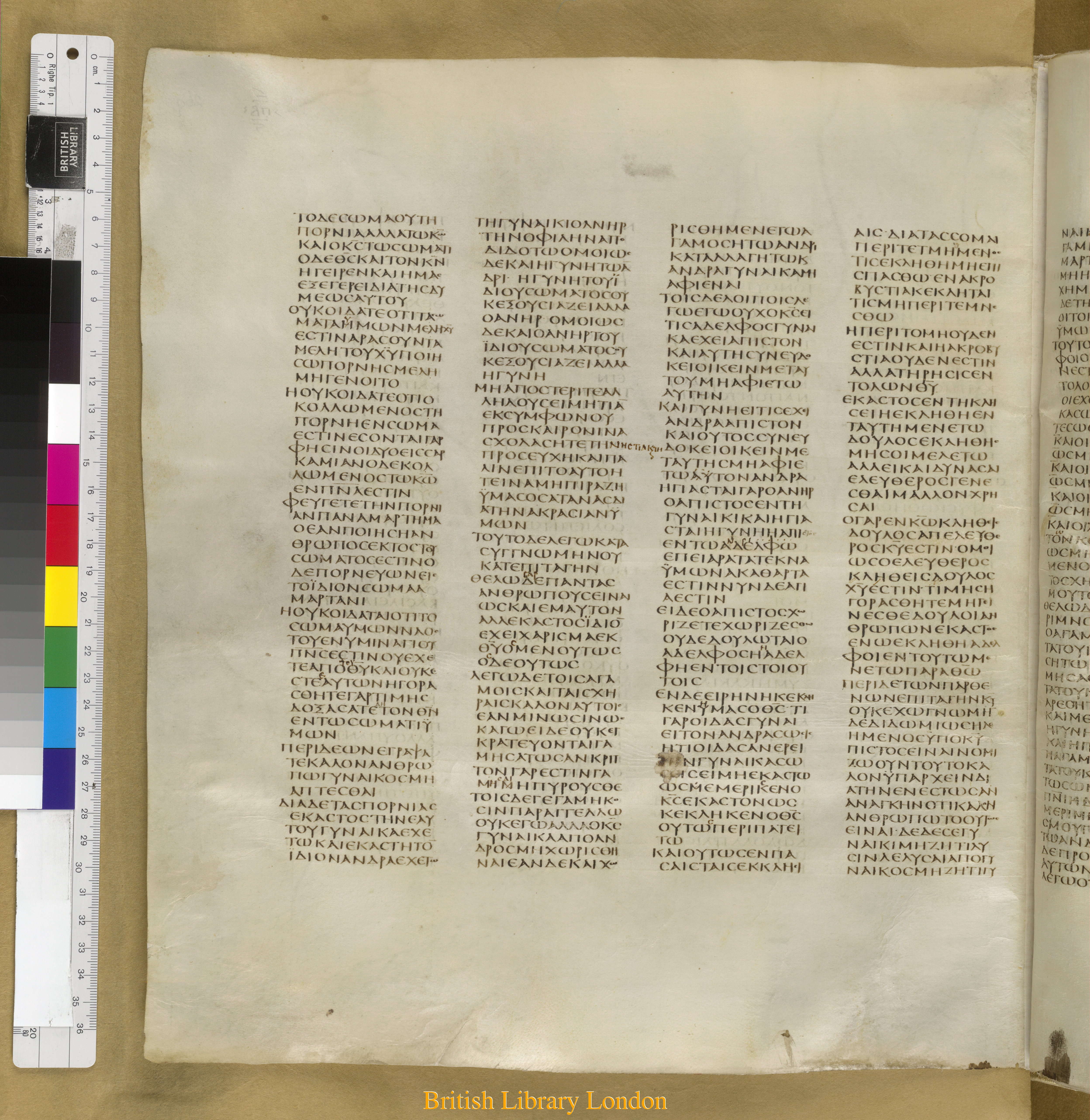Codex Sinaiticus showing 1 Corinthians 7:13 from Mid-4th Century found in Saint Catherine's Monastery, Sinai Peninsula, Egypt, currently housed at British Library, London