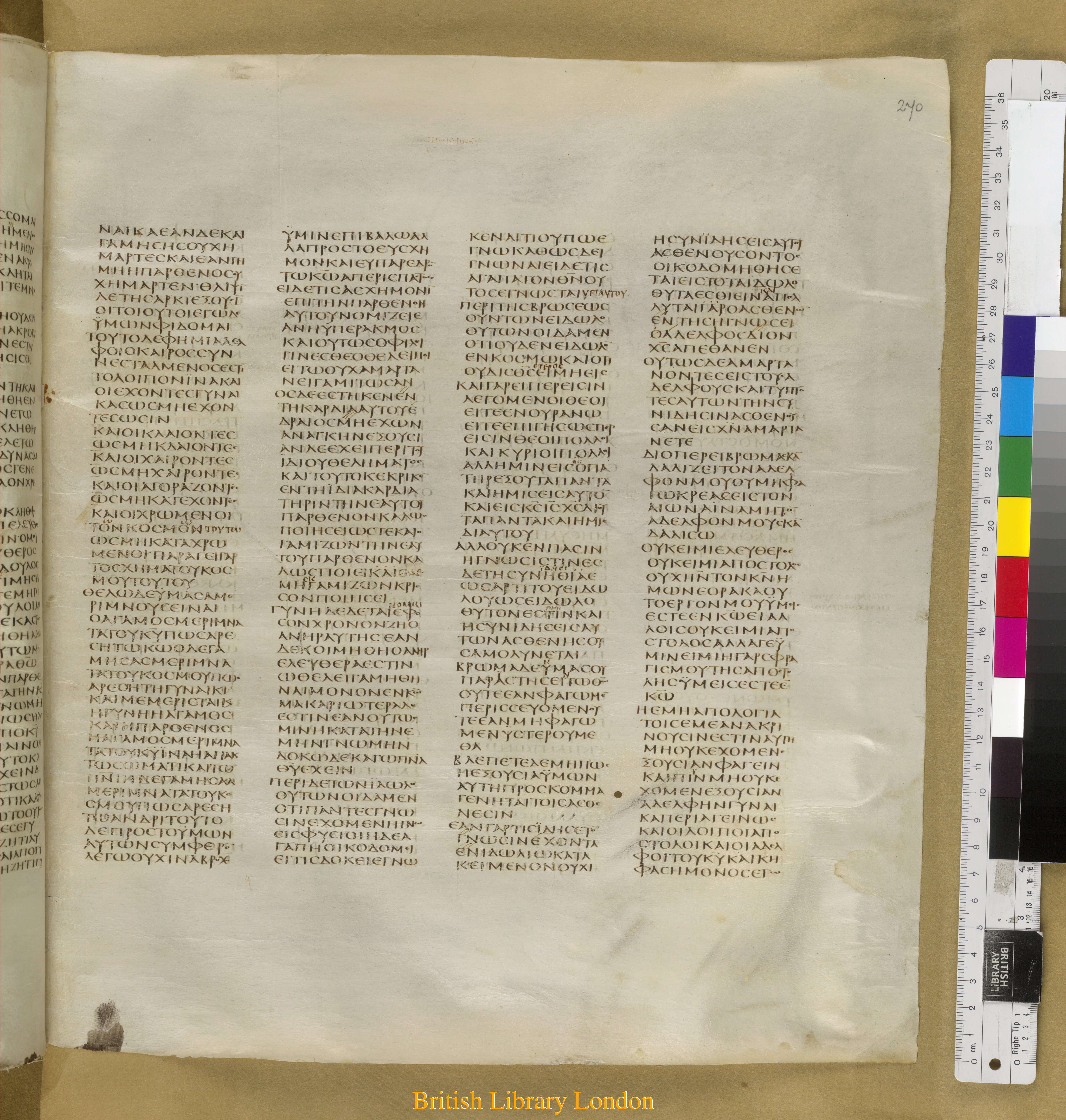 Codex Sinaiticus showing 1 Corinthians 8:13 from Mid-4th Century found in Saint Catherine's Monastery, Sinai Peninsula, Egypt, currently housed at British Library, London