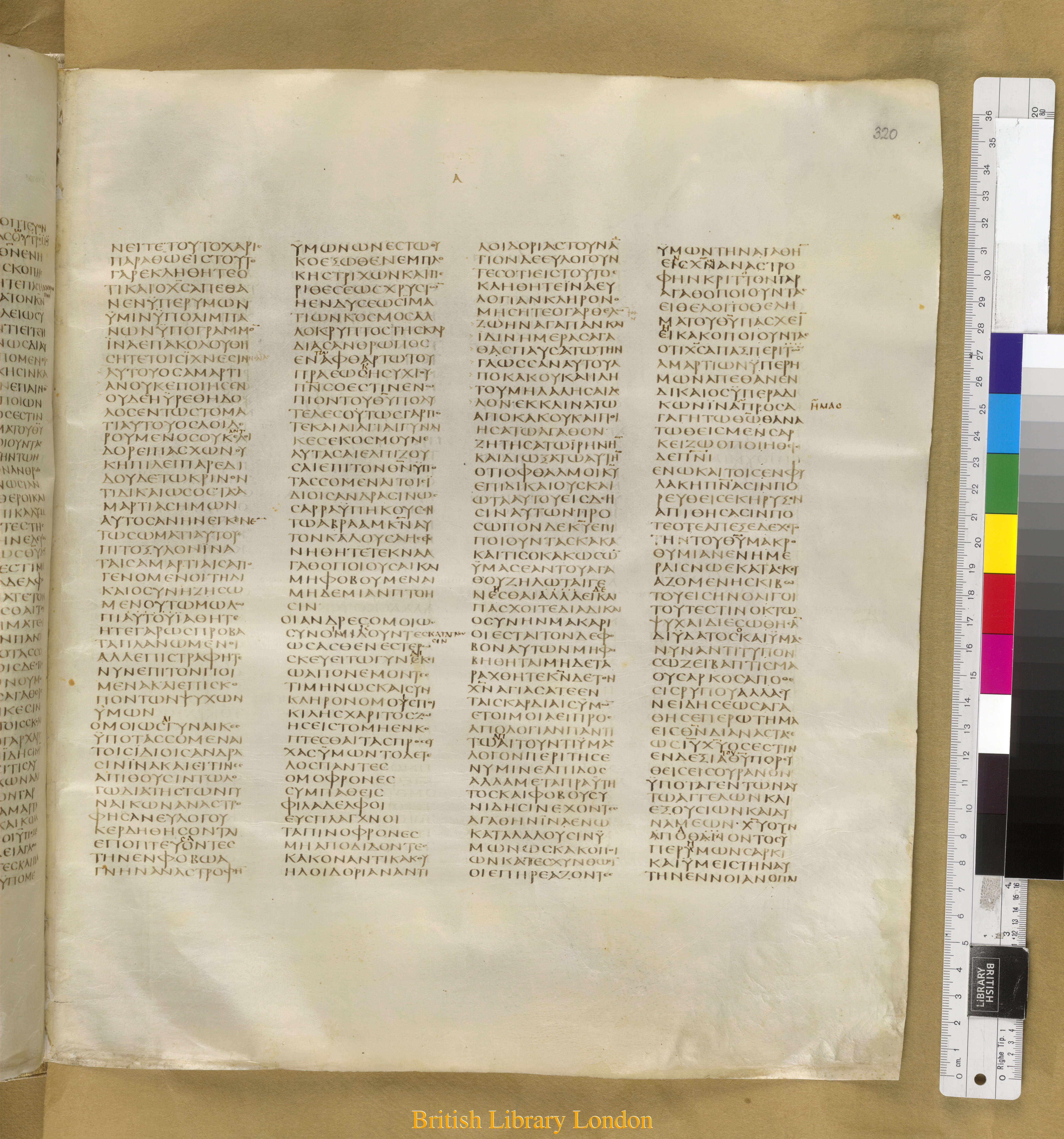 Codex Sinaiticus showing 1 Peter 2:21 from Mid-4th Century found in Saint Catherine's Monastery, Sinai Peninsula, Egypt, currently housed at British Library, London