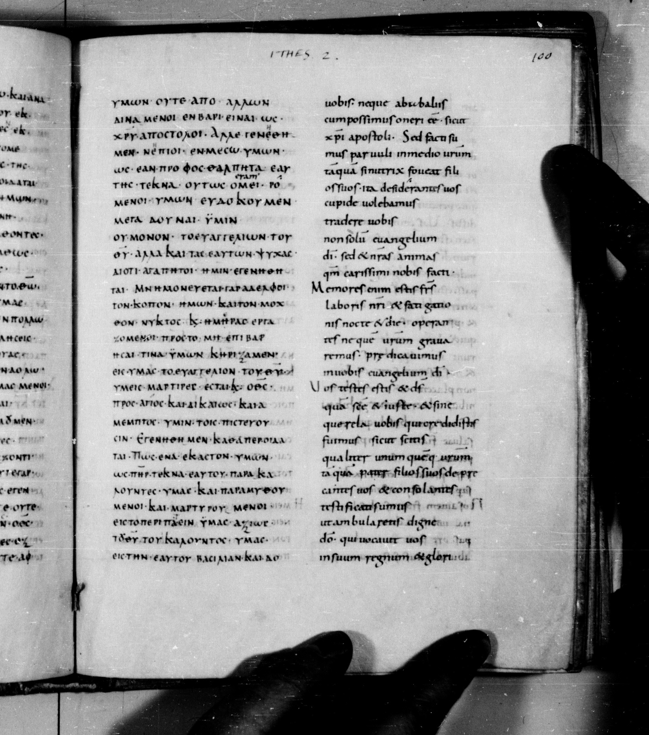 Codex Augiensis showing 1 Thessalonians 2:7 from 9th Century found in Reichenau Abbey, Lake Constance, currently housed at Trinity College, Cambridge