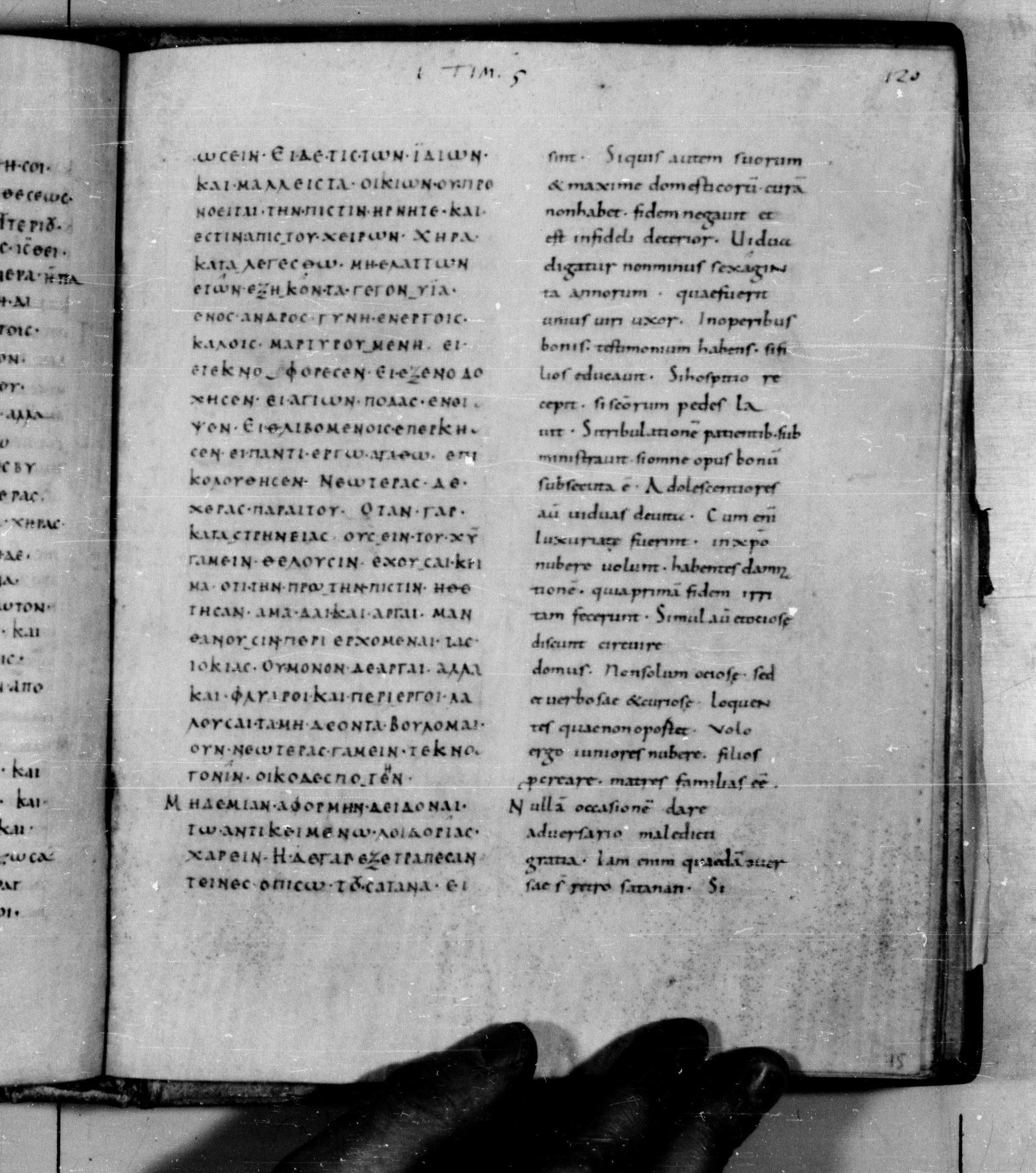 Codex Augiensis showing 1 Timothy 5:13 from 9th Century found in Reichenau Abbey, Lake Constance, currently housed at Trinity College, Cambridge