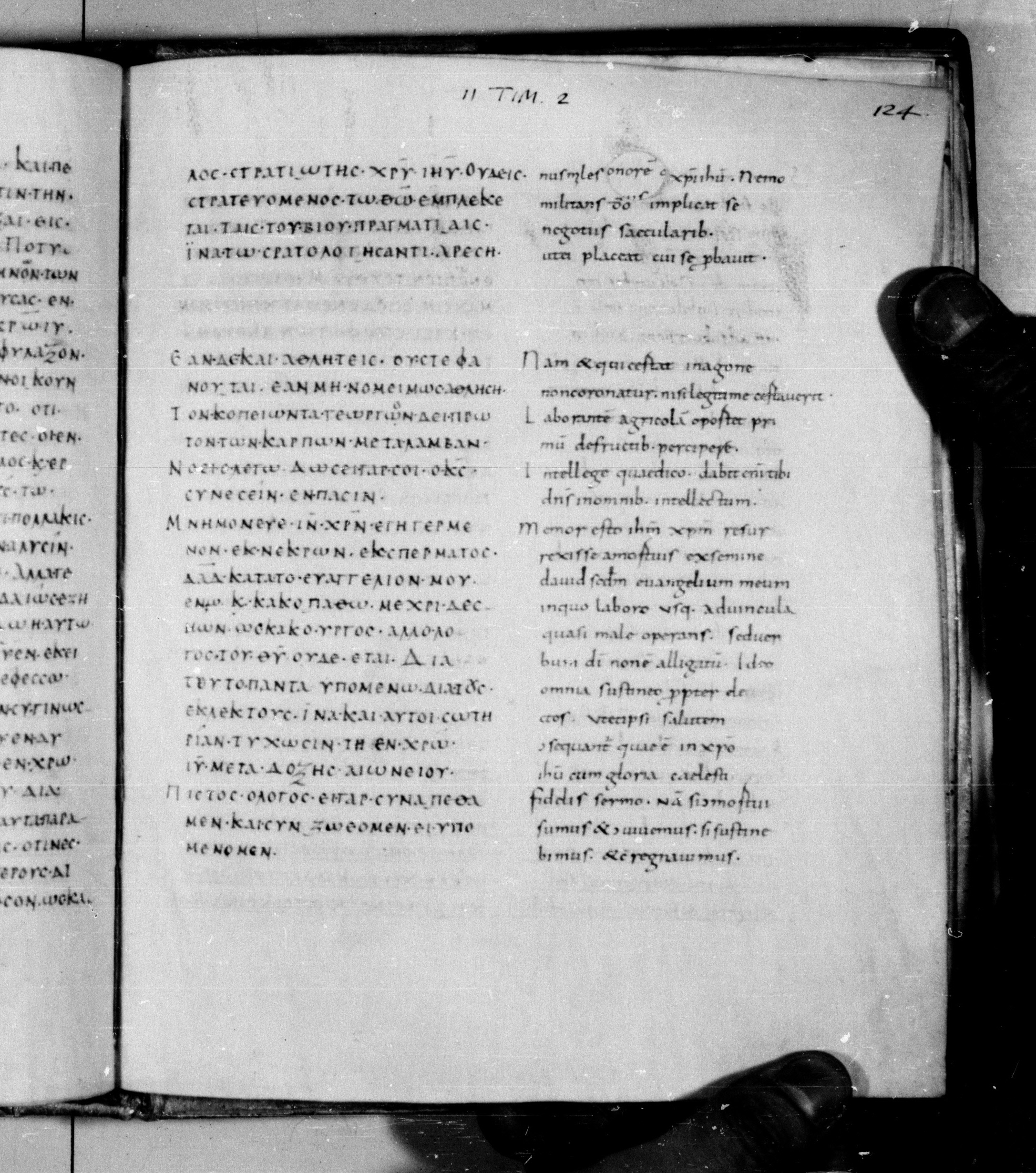 Codex Augiensis (Scan 2) showing 2 Timothy 2:3 from 9th Century found in Reichenau Abbey, Lake Constance, currently housed at Trinity College, Cambridge