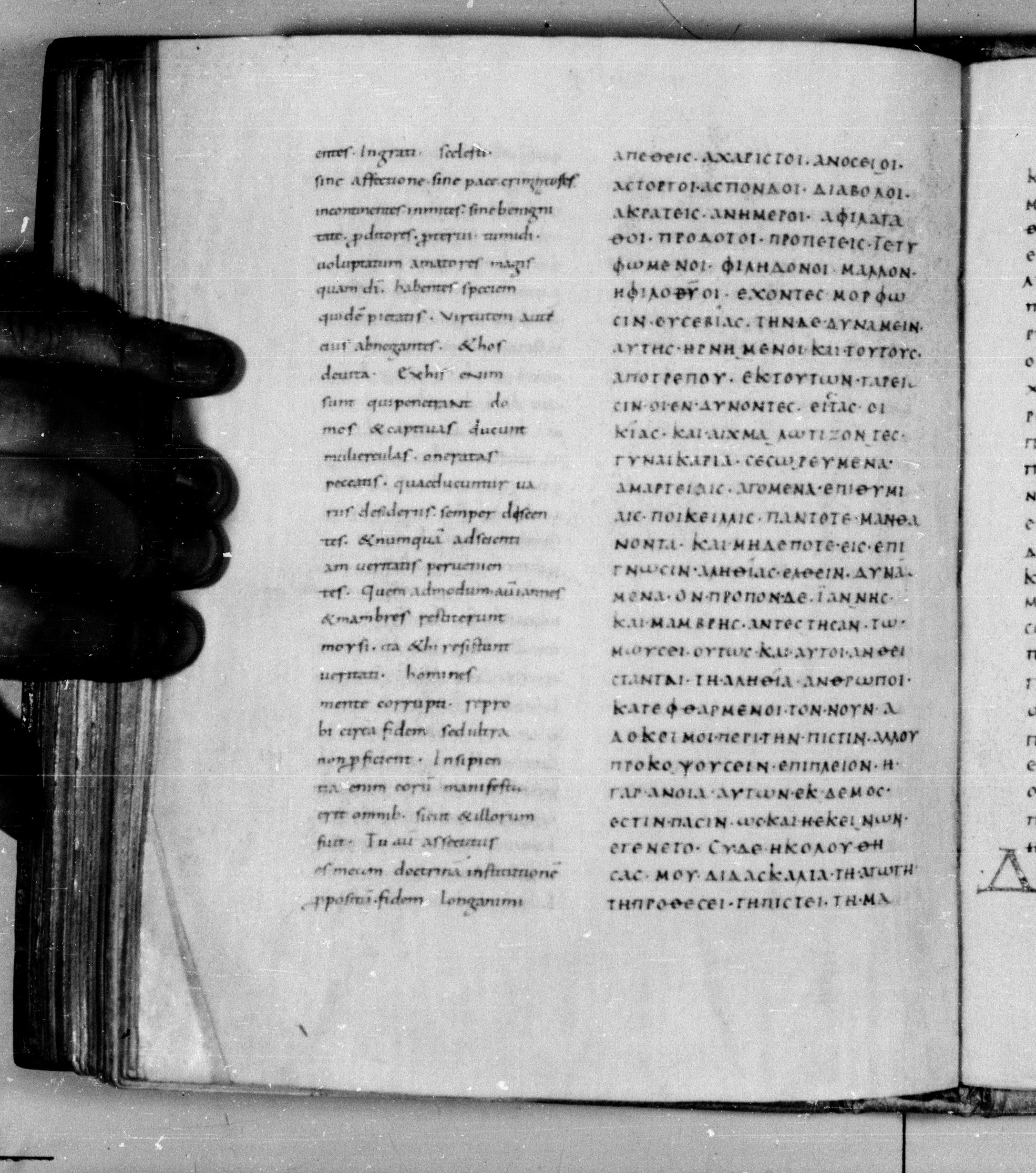Codex Augiensis (Scan 2) showing 2 Timothy 3:2 from 9th Century found in Reichenau Abbey, Lake Constance, currently housed at Trinity College, Cambridge