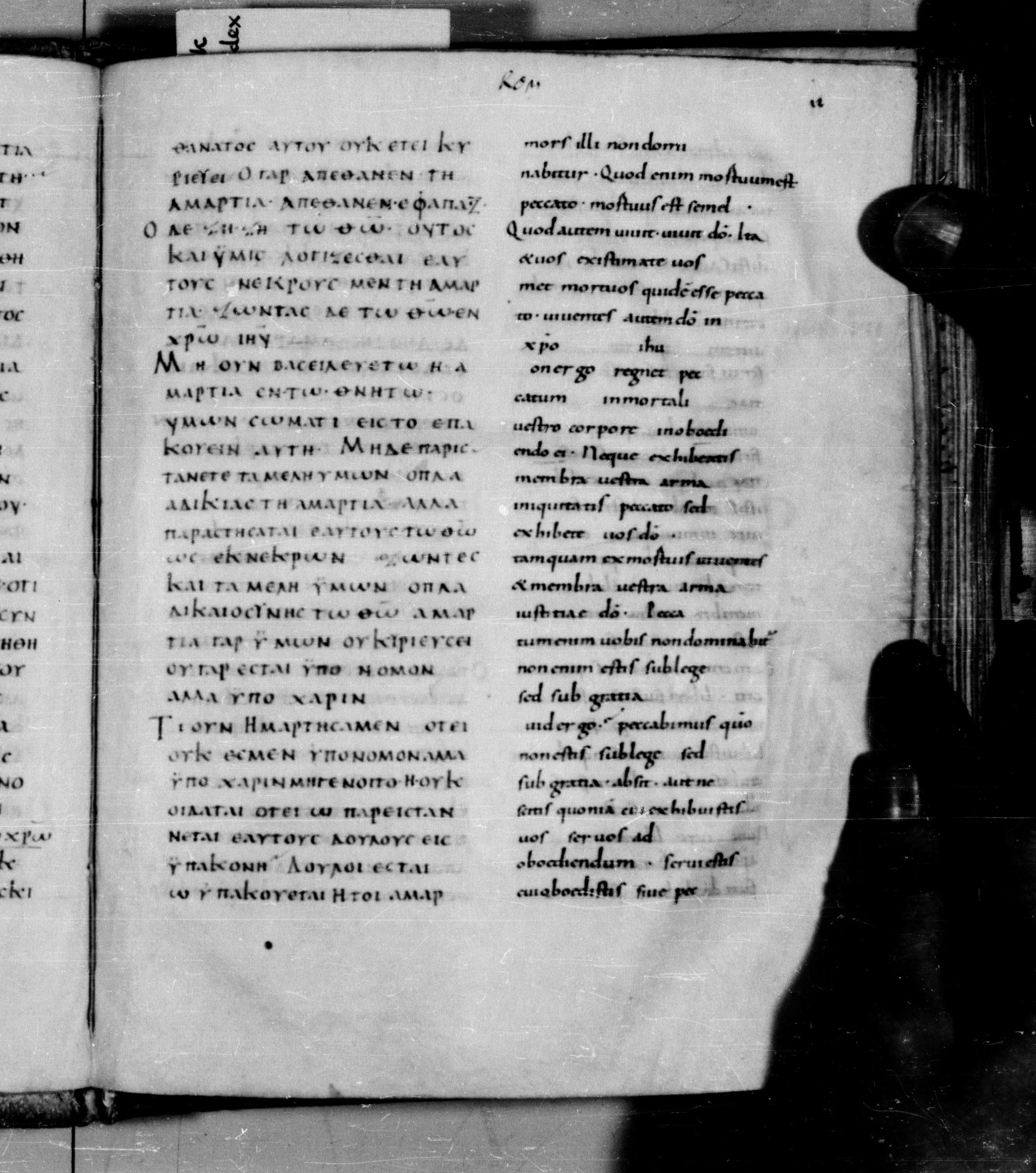 Codex Augiensis showing Romans 6:13 from 9th Century found in Reichenau Abbey, Lake Constance, currently housed at Trinity College, Cambridge