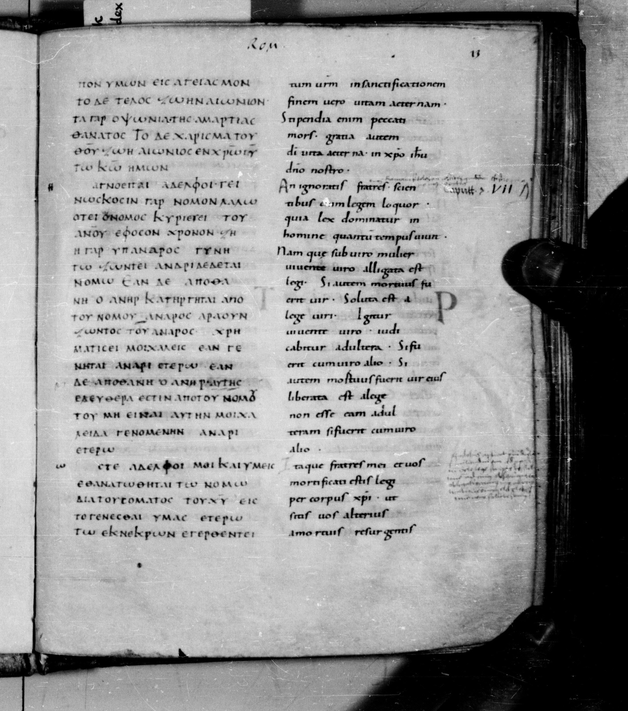 Codex Augiensis showing Romans 7:2 from 9th Century found in Reichenau Abbey, Lake Constance, currently housed at Trinity College, Cambridge