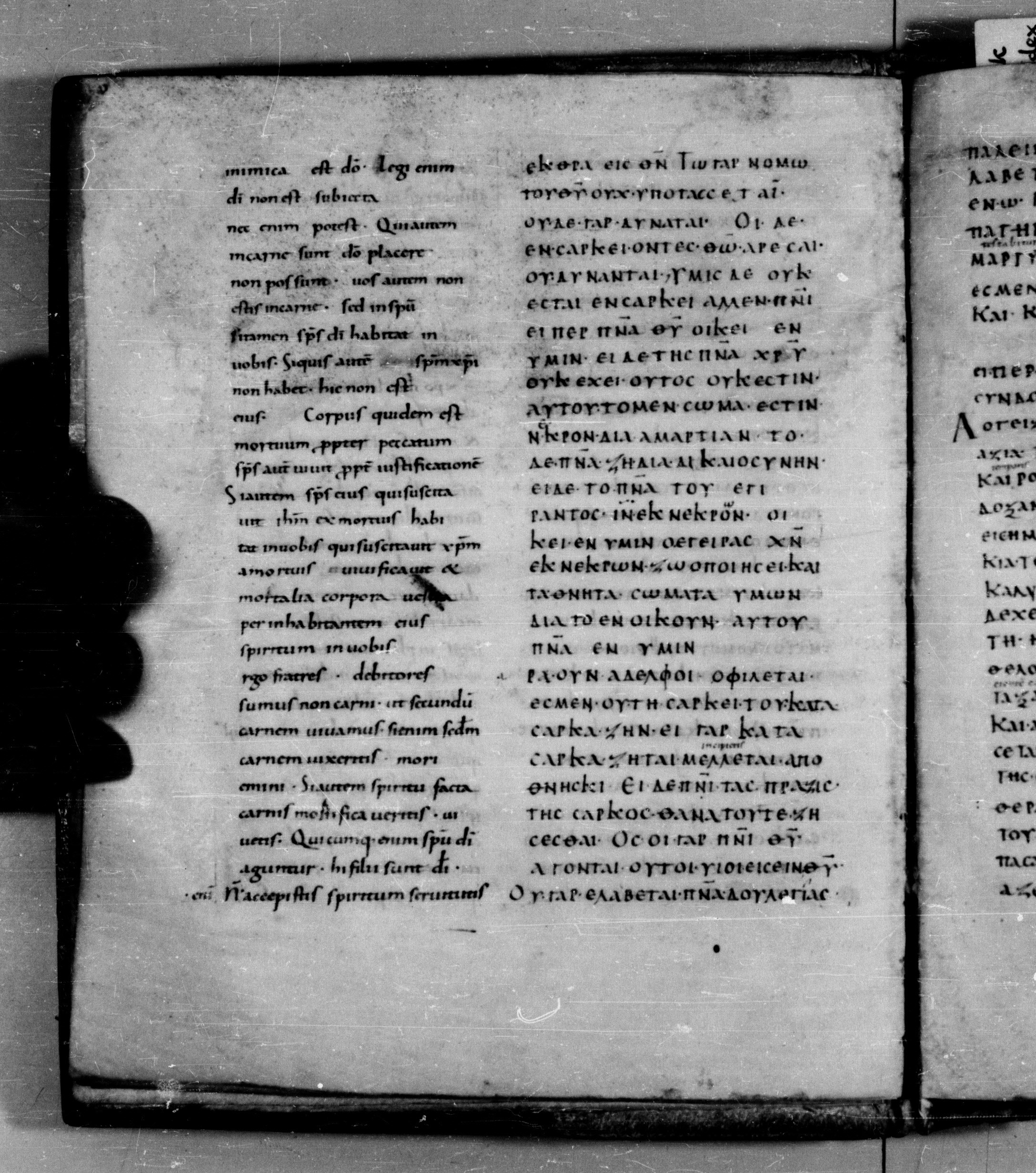 Codex Augiensis showing Romans 8:13 from 9th Century found in Reichenau Abbey, Lake Constance, currently housed at Trinity College, Cambridge