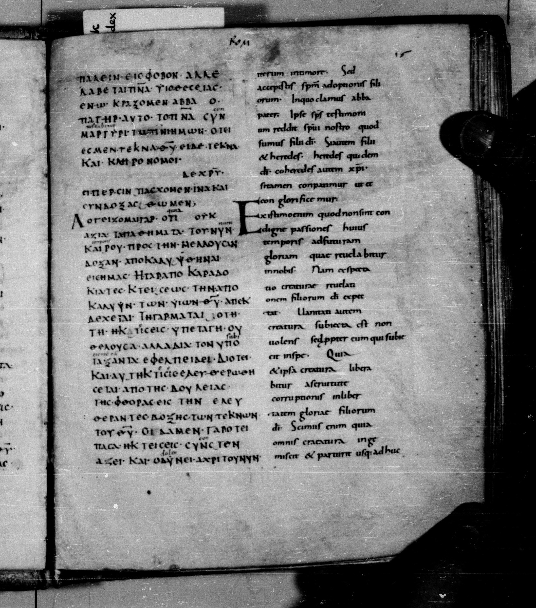 Codex Augiensis (Scan 1) showing Romans 8:22 from 9th Century found in Reichenau Abbey, Lake Constance, currently housed at Trinity College, Cambridge