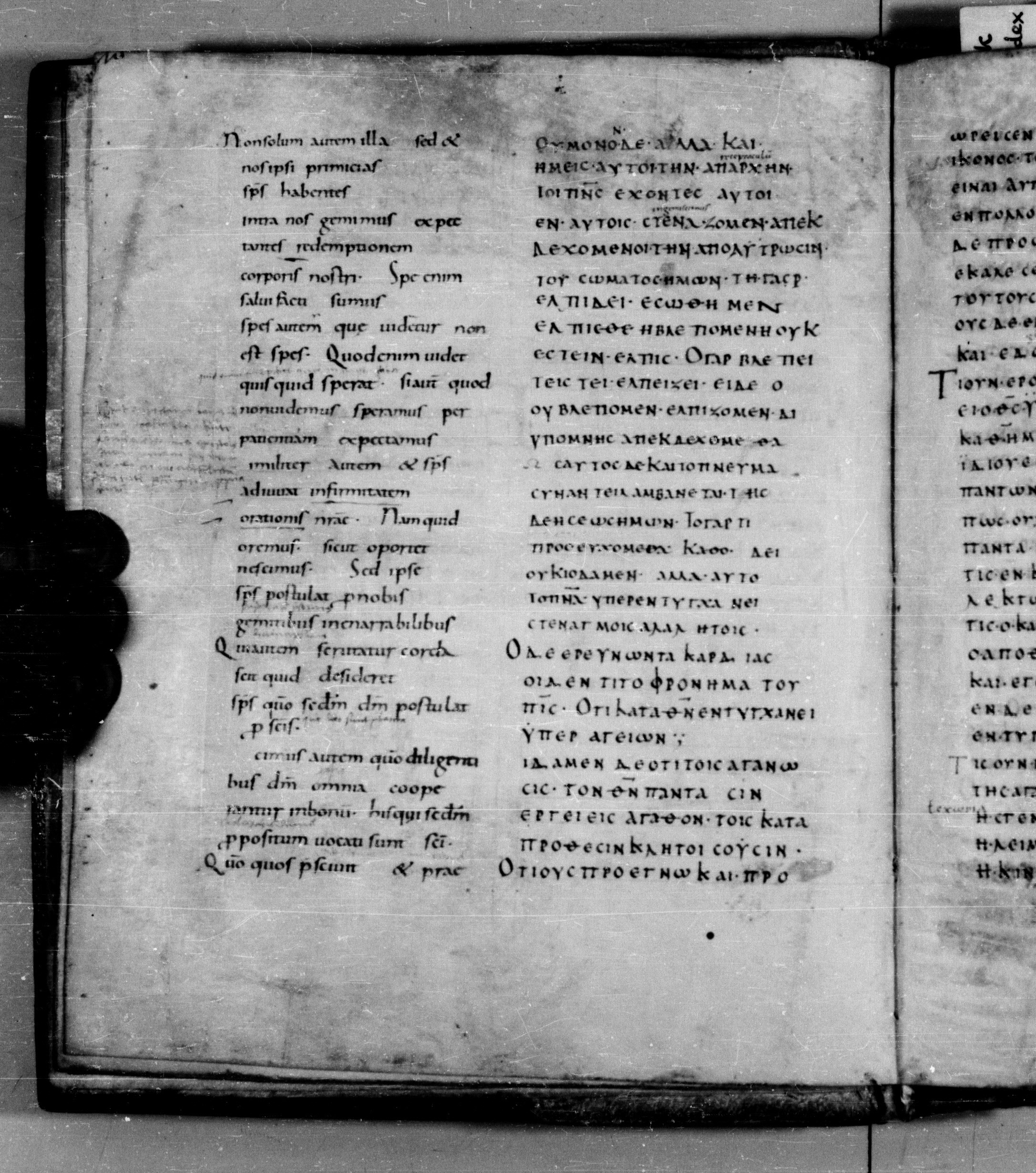 Codex Augiensis (Scan 2) showing Romans 8:22 from 9th Century found in Reichenau Abbey, Lake Constance, currently housed at Trinity College, Cambridge