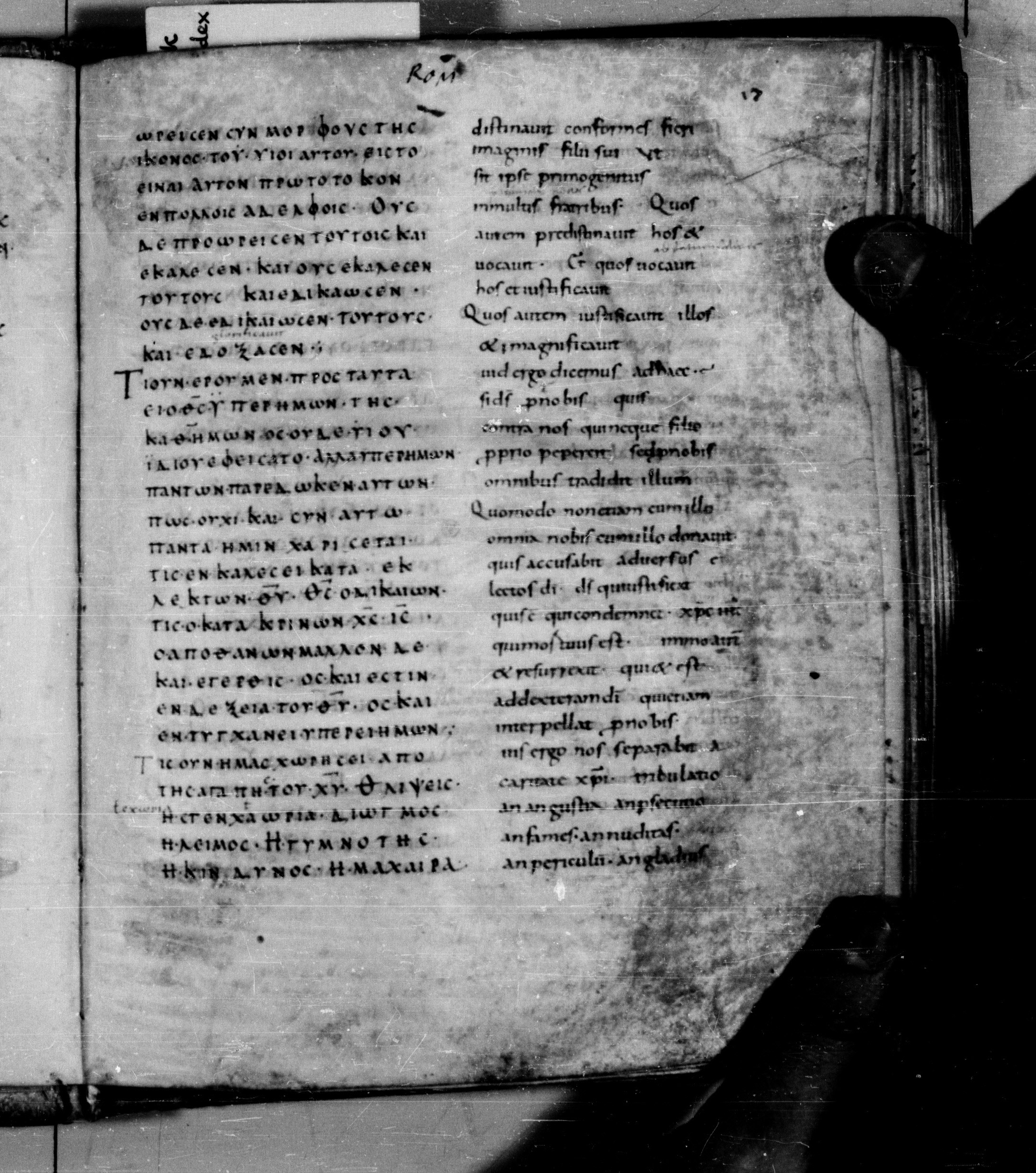 Codex Augiensis showing Romans 8:33 from 9th Century found in Reichenau Abbey, Lake Constance, currently housed at Trinity College, Cambridge