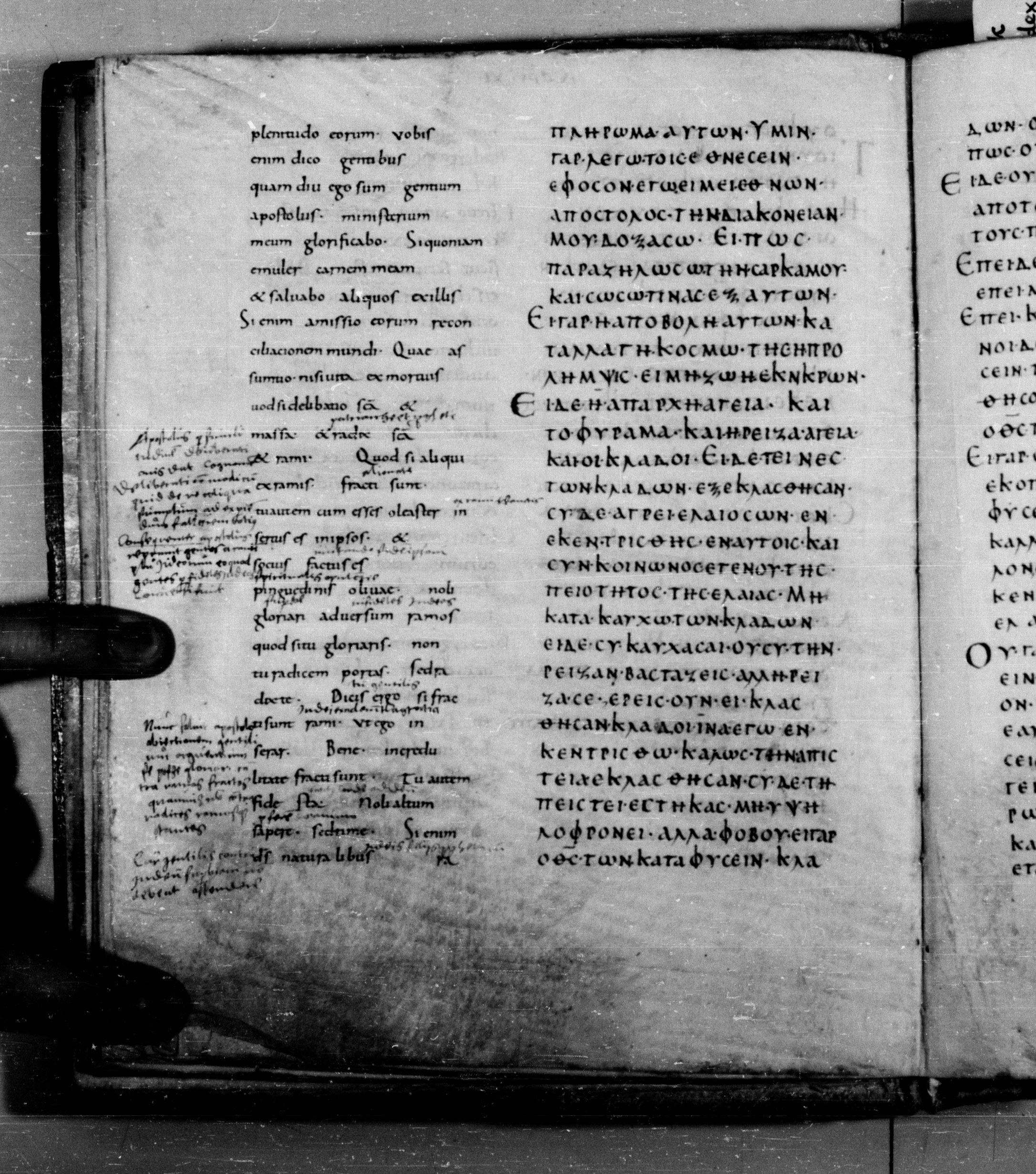 Codex Augiensis showing Romans 11:13 from 9th Century found in Reichenau Abbey, Lake Constance, currently housed at Trinity College, Cambridge