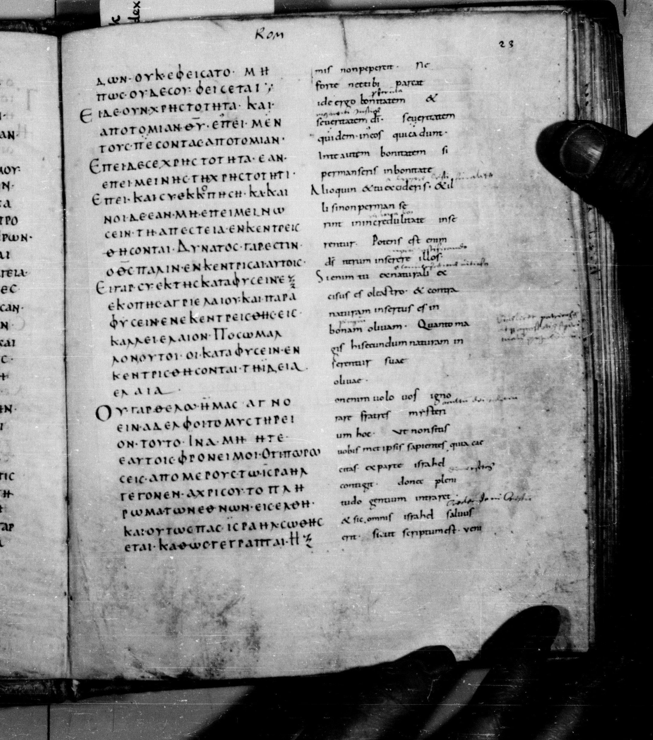Codex Augiensis showing Romans 11:23 from 9th Century found in Reichenau Abbey, Lake Constance, currently housed at Trinity College, Cambridge