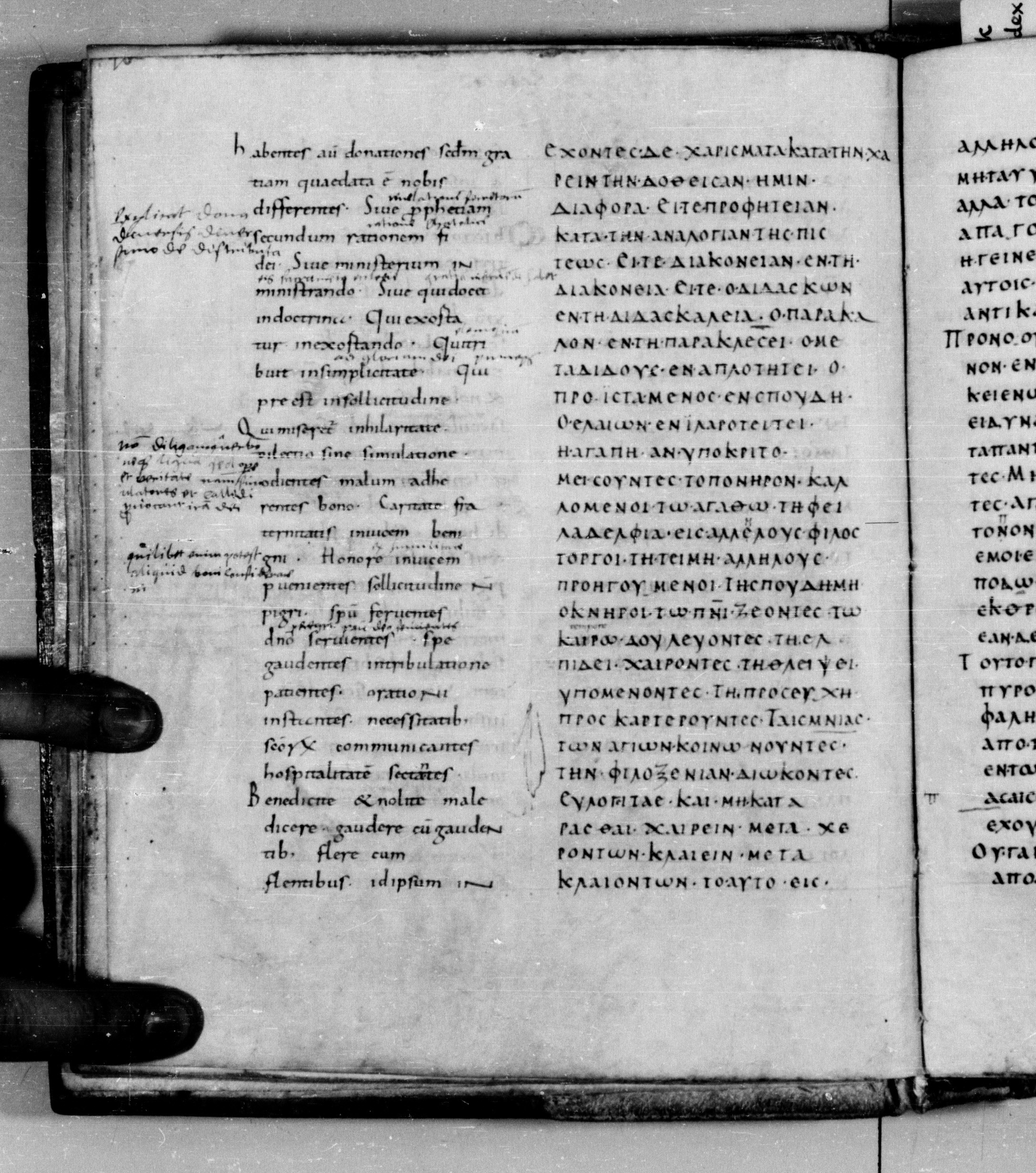 Codex Augiensis showing Romans 12:7 from 9th Century found in Reichenau Abbey, Lake Constance, currently housed at Trinity College, Cambridge