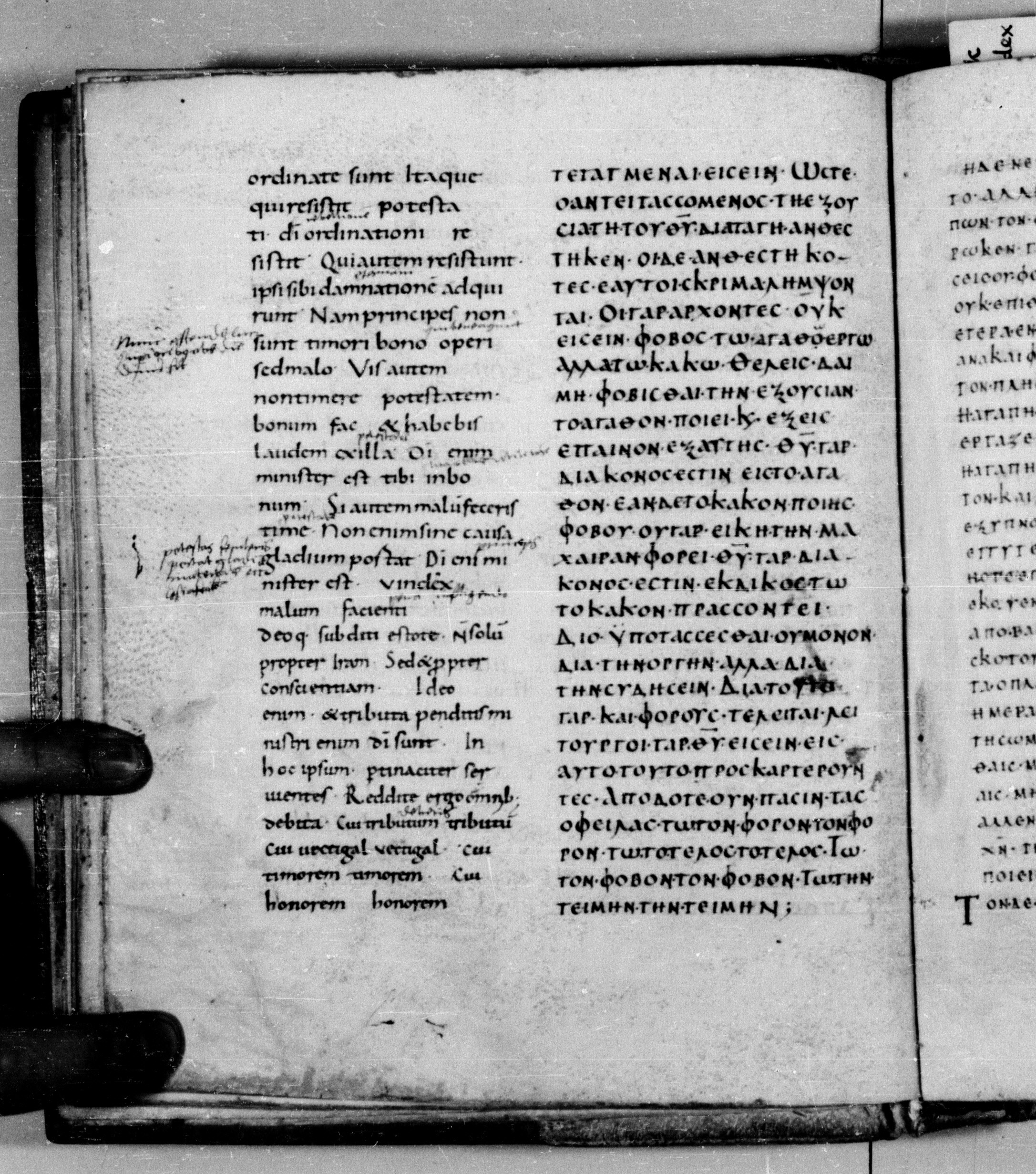 Codex Augiensis showing Romans 13:2 from 9th Century found in Reichenau Abbey, Lake Constance, currently housed at Trinity College, Cambridge