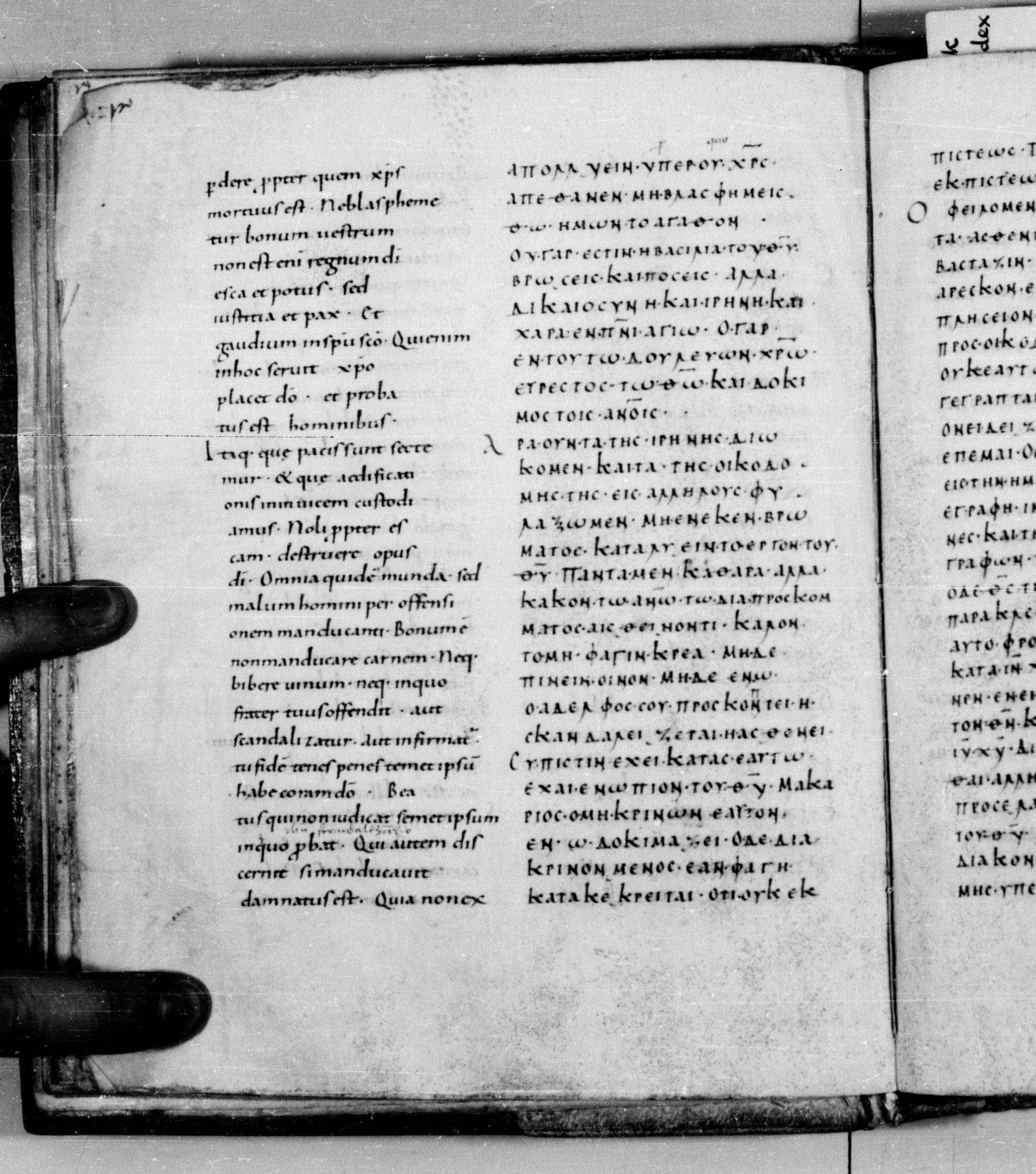 Codex Augiensis showing Romans 14:21 from 9th Century found in Reichenau Abbey, Lake Constance, currently housed at Trinity College, Cambridge