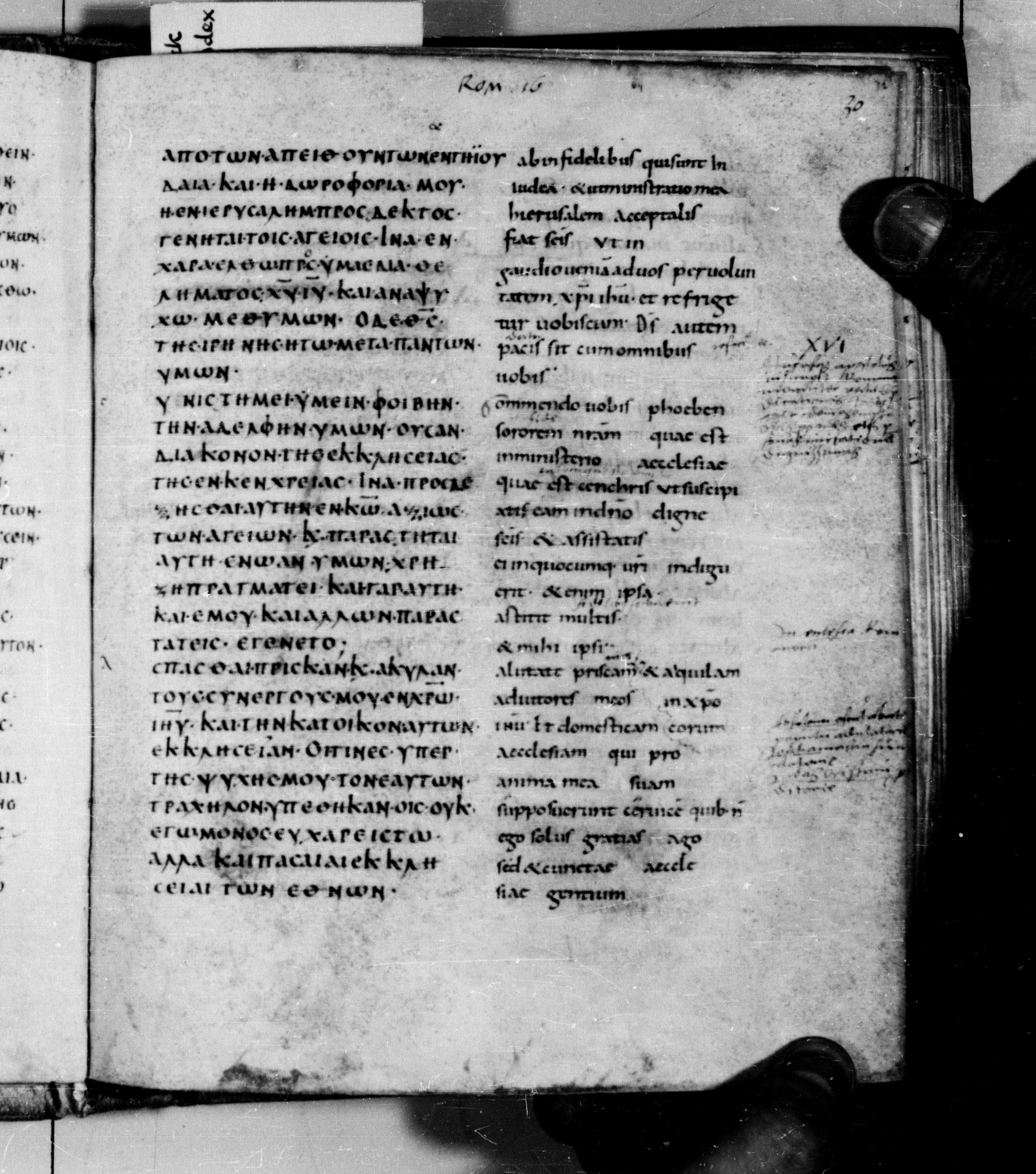 Codex Augiensis showing Romans 16:2 from 9th Century found in Reichenau Abbey, Lake Constance, currently housed at Trinity College, Cambridge