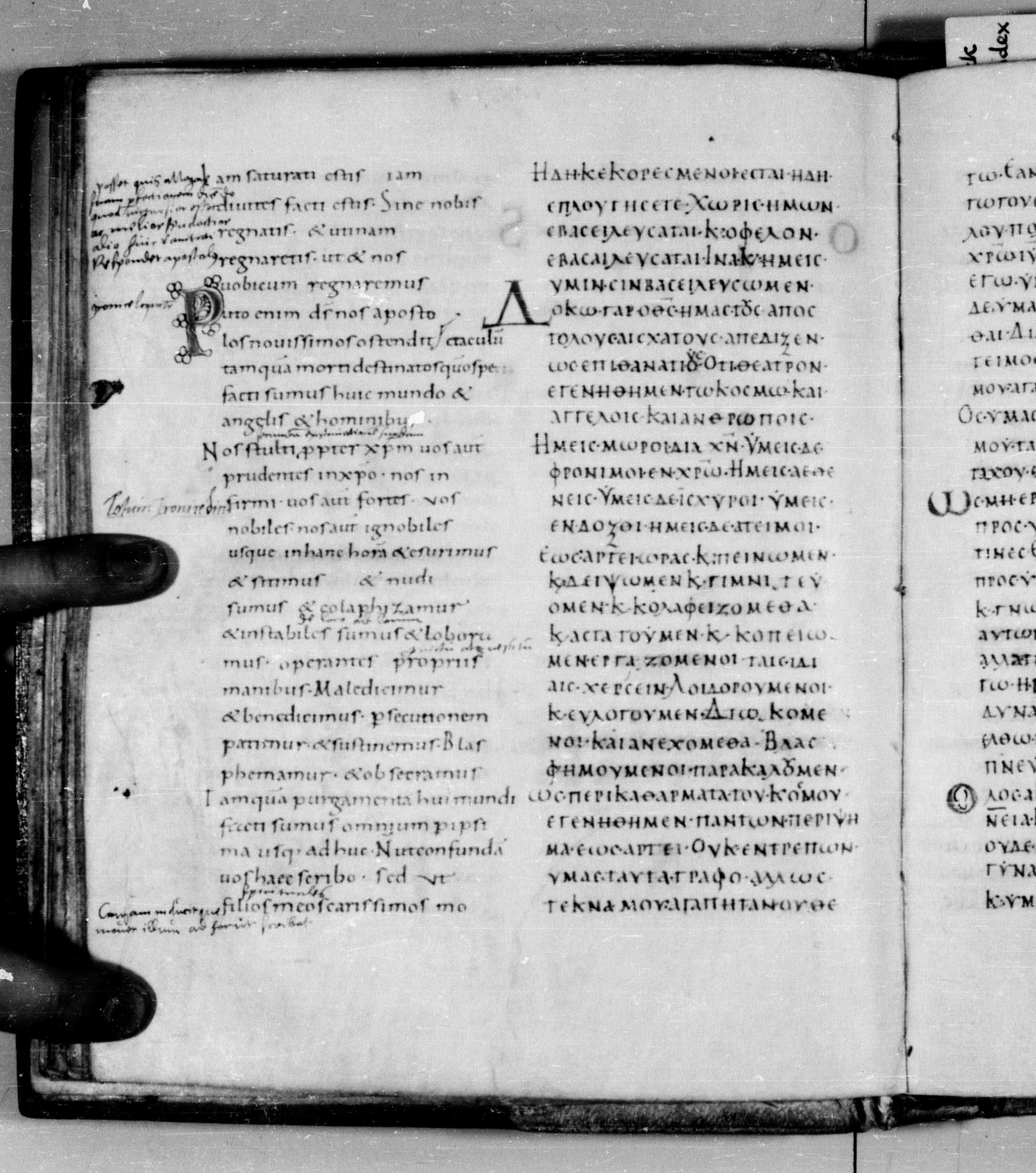 Codex Augiensis showing 1 Corinthians 4:13 from 9th Century found in Reichenau Abbey, Lake Constance, currently housed at Trinity College, Cambridge