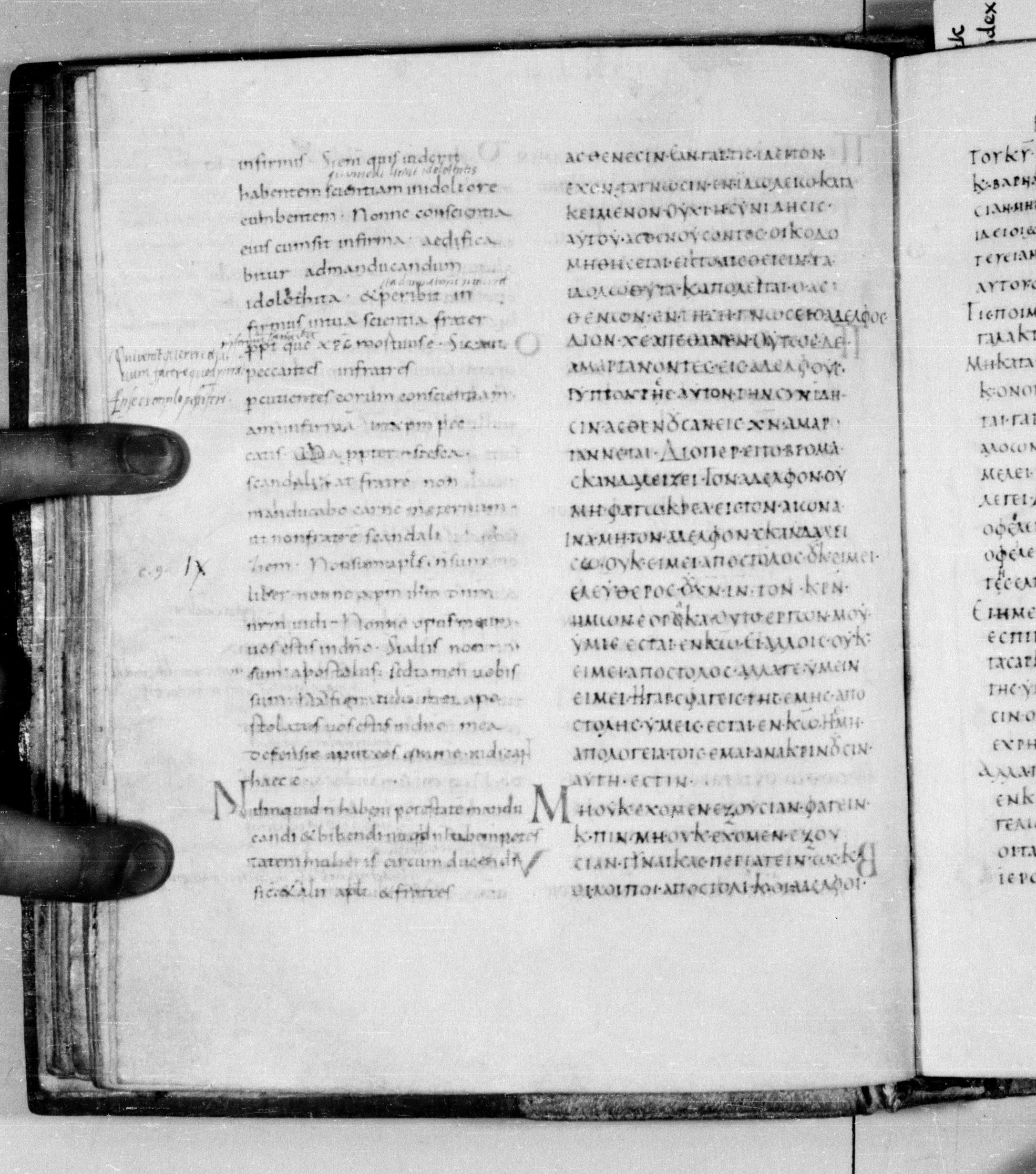 Codex Augiensis showing 1 Corinthians 8:13 from 9th Century found in Reichenau Abbey, Lake Constance, currently housed at Trinity College, Cambridge