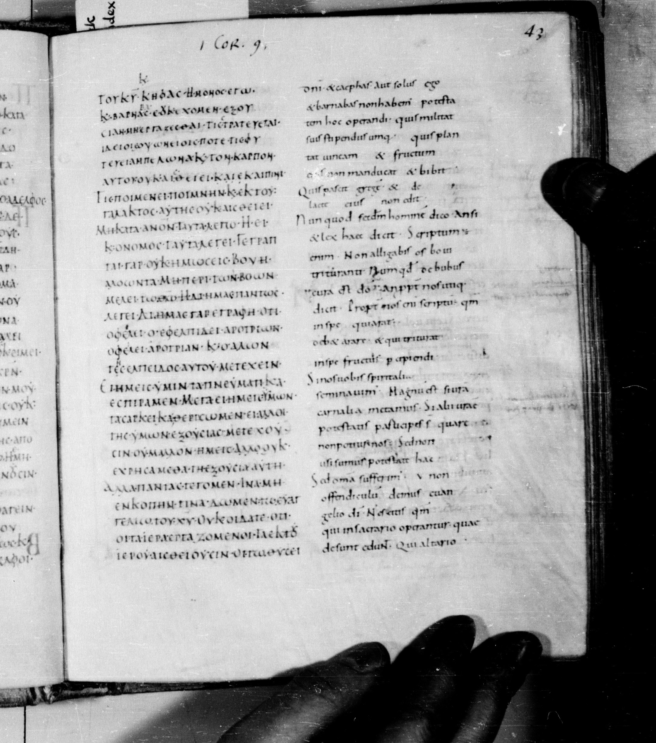 Codex Augiensis (Scan 1) showing 1 Corinthians 9:13 from 9th Century found in Reichenau Abbey, Lake Constance, currently housed at Trinity College, Cambridge