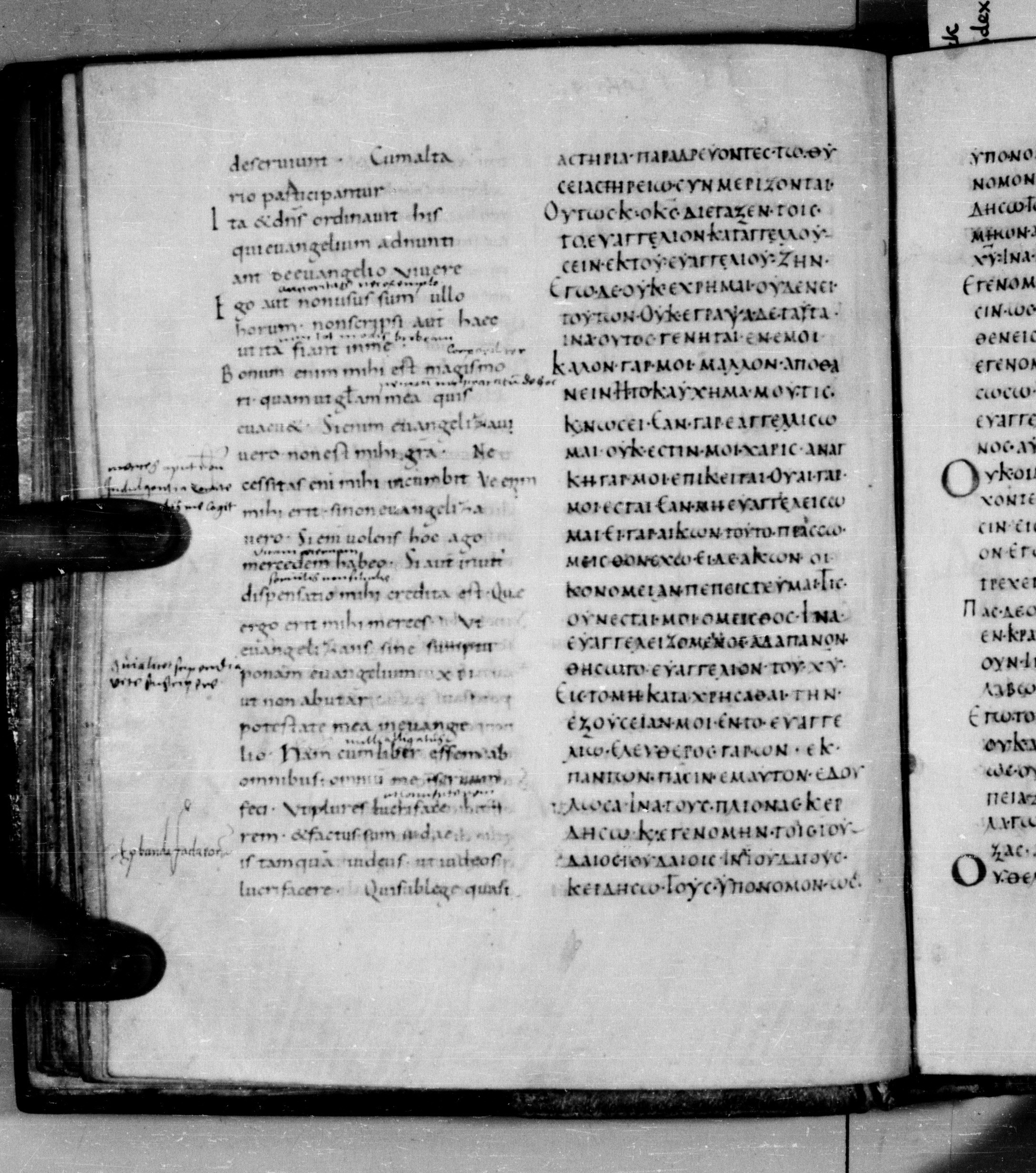 Codex Augiensis (Scan 2) showing 1 Corinthians 9:13 from 9th Century found in Reichenau Abbey, Lake Constance, currently housed at Trinity College, Cambridge
