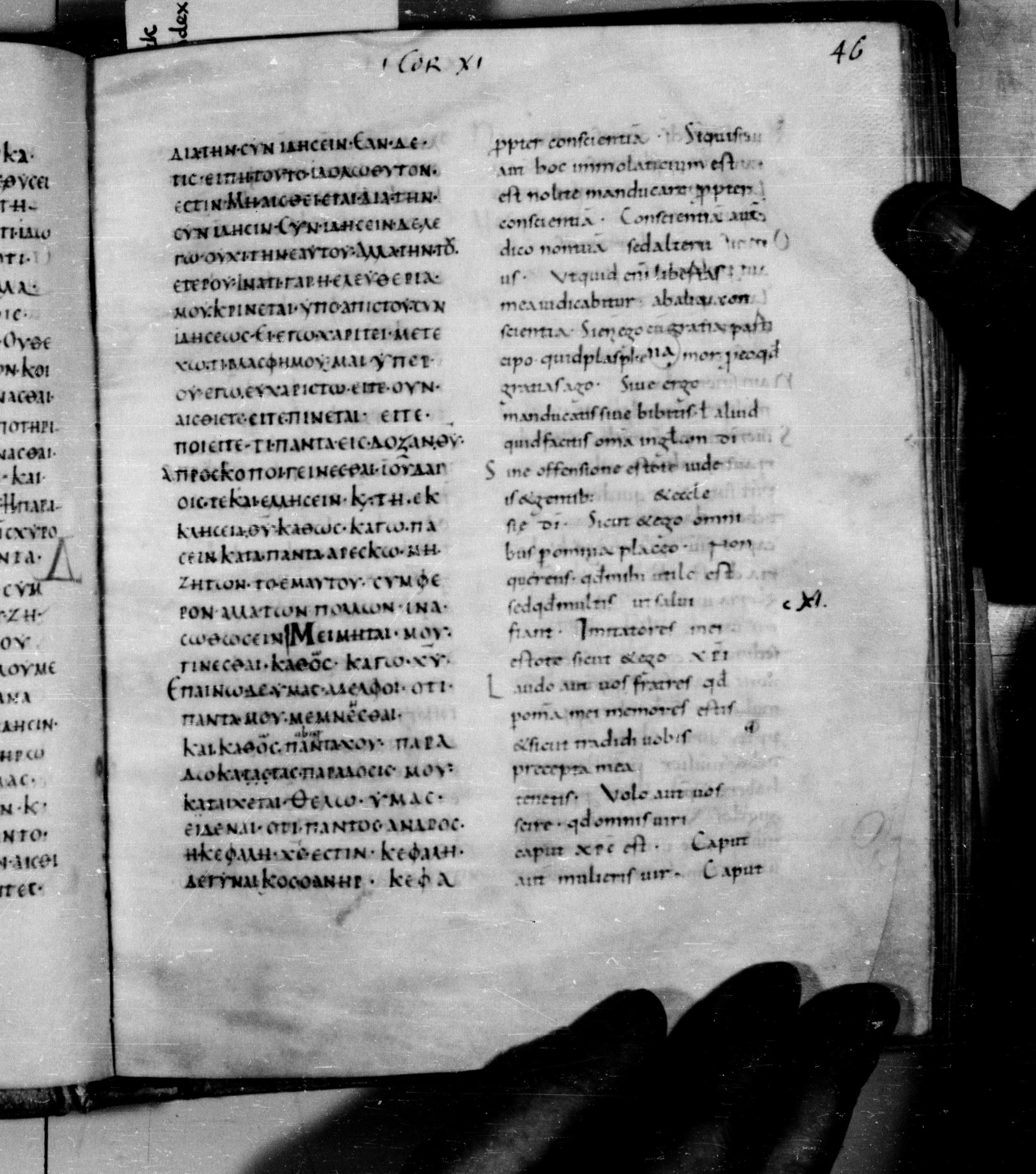 Codex Augiensis showing 1 Corinthians 10:32 from 9th Century found in Reichenau Abbey, Lake Constance, currently housed at Trinity College, Cambridge