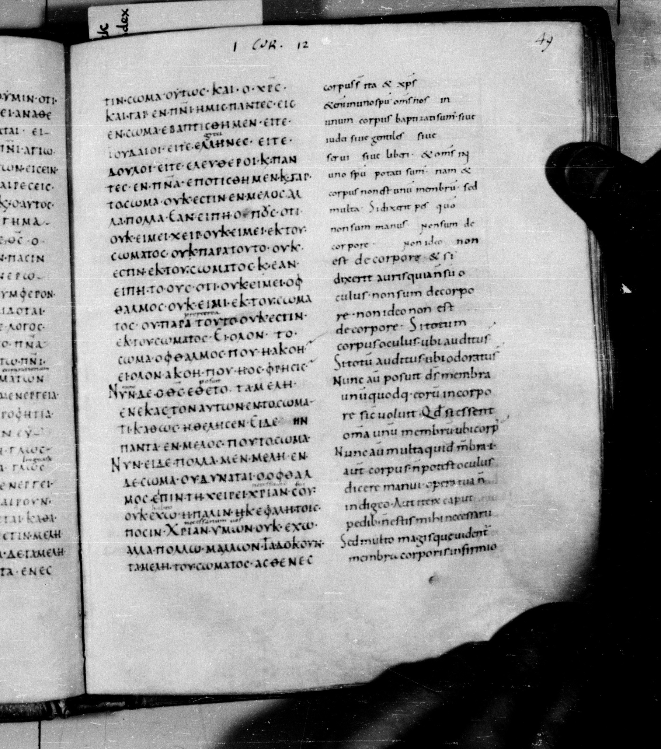 Codex Augiensis showing 1 Corinthians 12:21 from 9th Century found in Reichenau Abbey, Lake Constance, currently housed at Trinity College, Cambridge