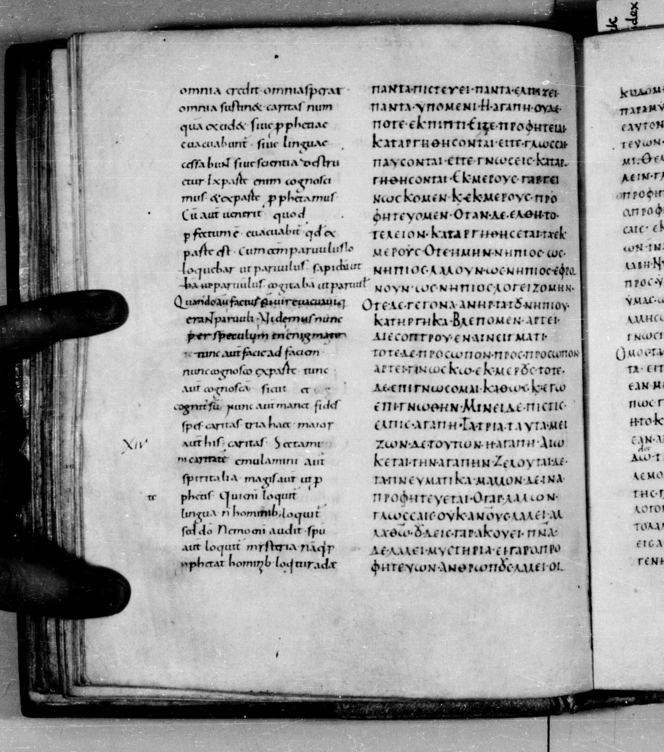 Codex Augiensis (Scan 2) showing 1 Corinthians 13:7 from 9th Century found in Reichenau Abbey, Lake Constance, currently housed at Trinity College, Cambridge
