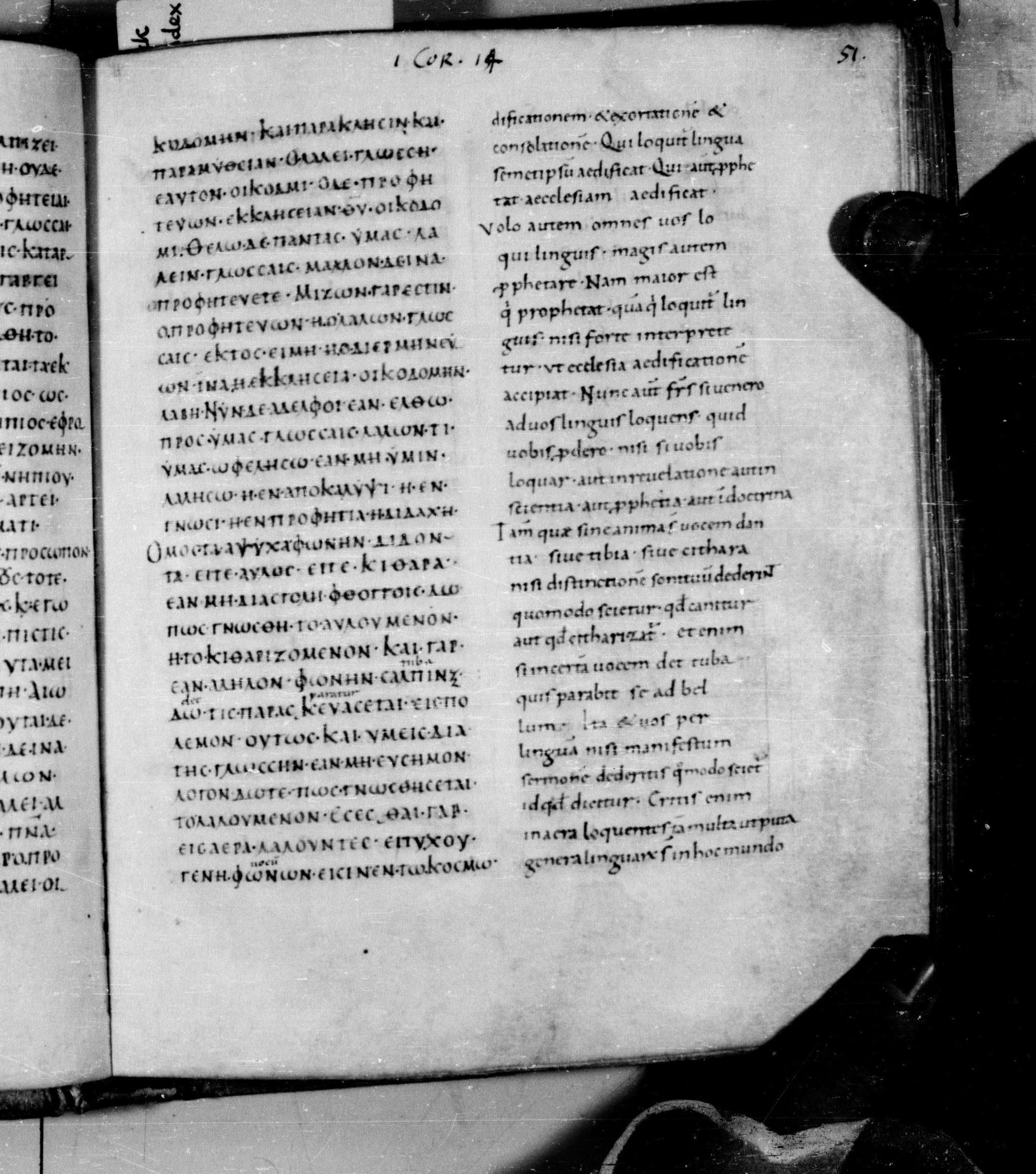 Codex Augiensis showing 1 Corinthians 14:4 from 9th Century found in Reichenau Abbey, Lake Constance, currently housed at Trinity College, Cambridge