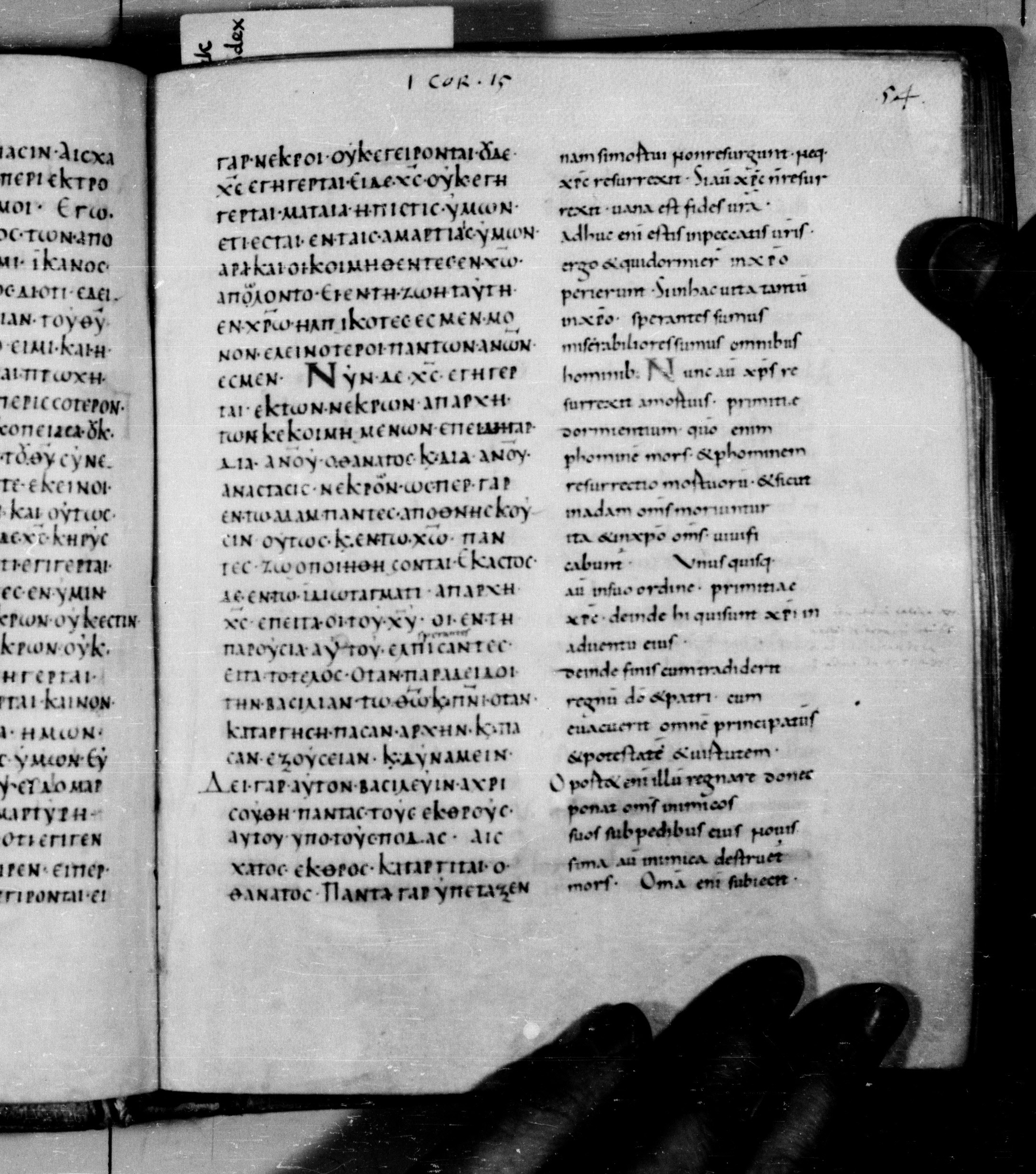 Codex Augiensis showing 1 Corinthians 15:21 from 9th Century found in Reichenau Abbey, Lake Constance, currently housed at Trinity College, Cambridge