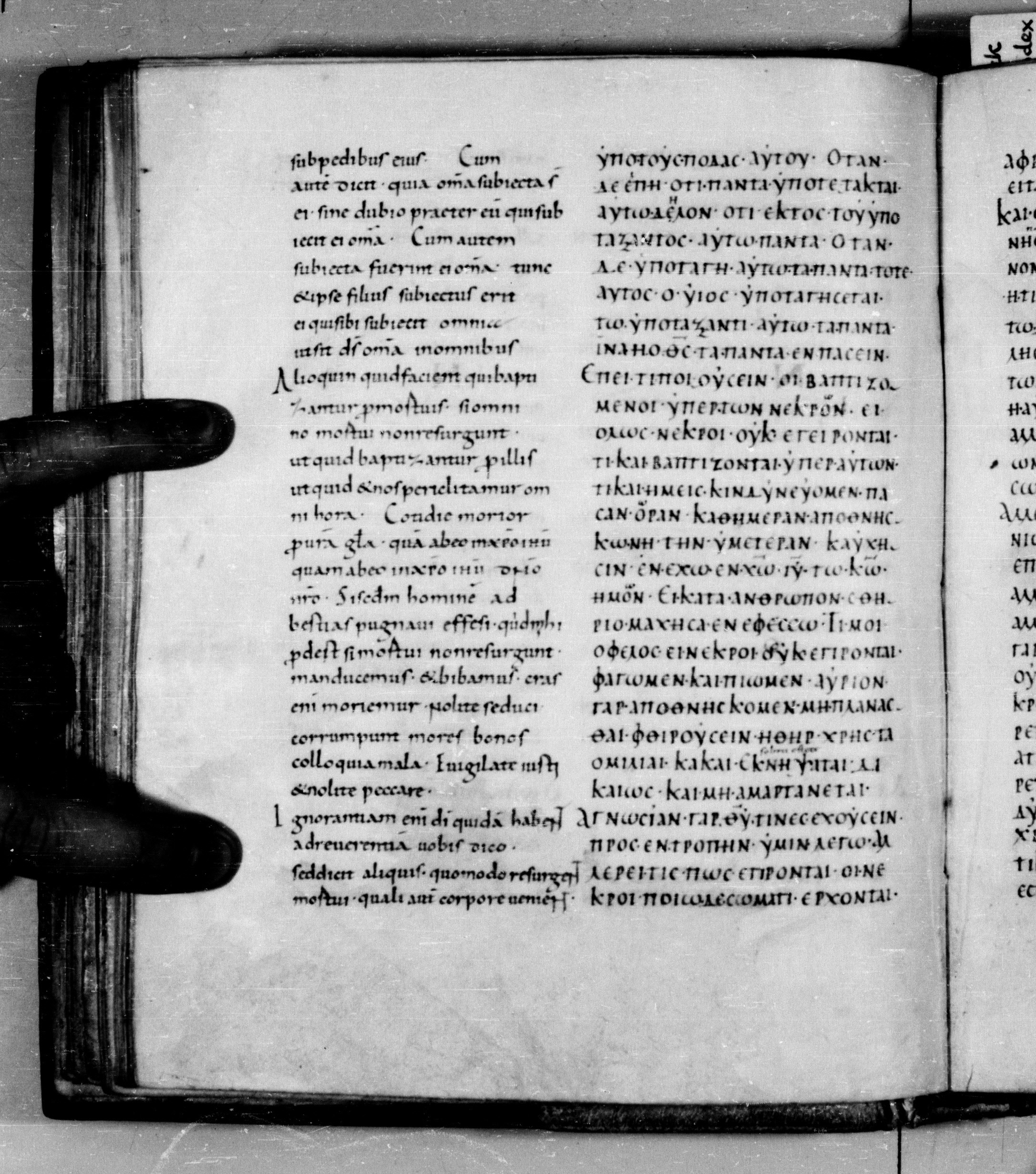 Codex Augiensis showing 1 Corinthians 15:32 from 9th Century found in Reichenau Abbey, Lake Constance, currently housed at Trinity College, Cambridge
