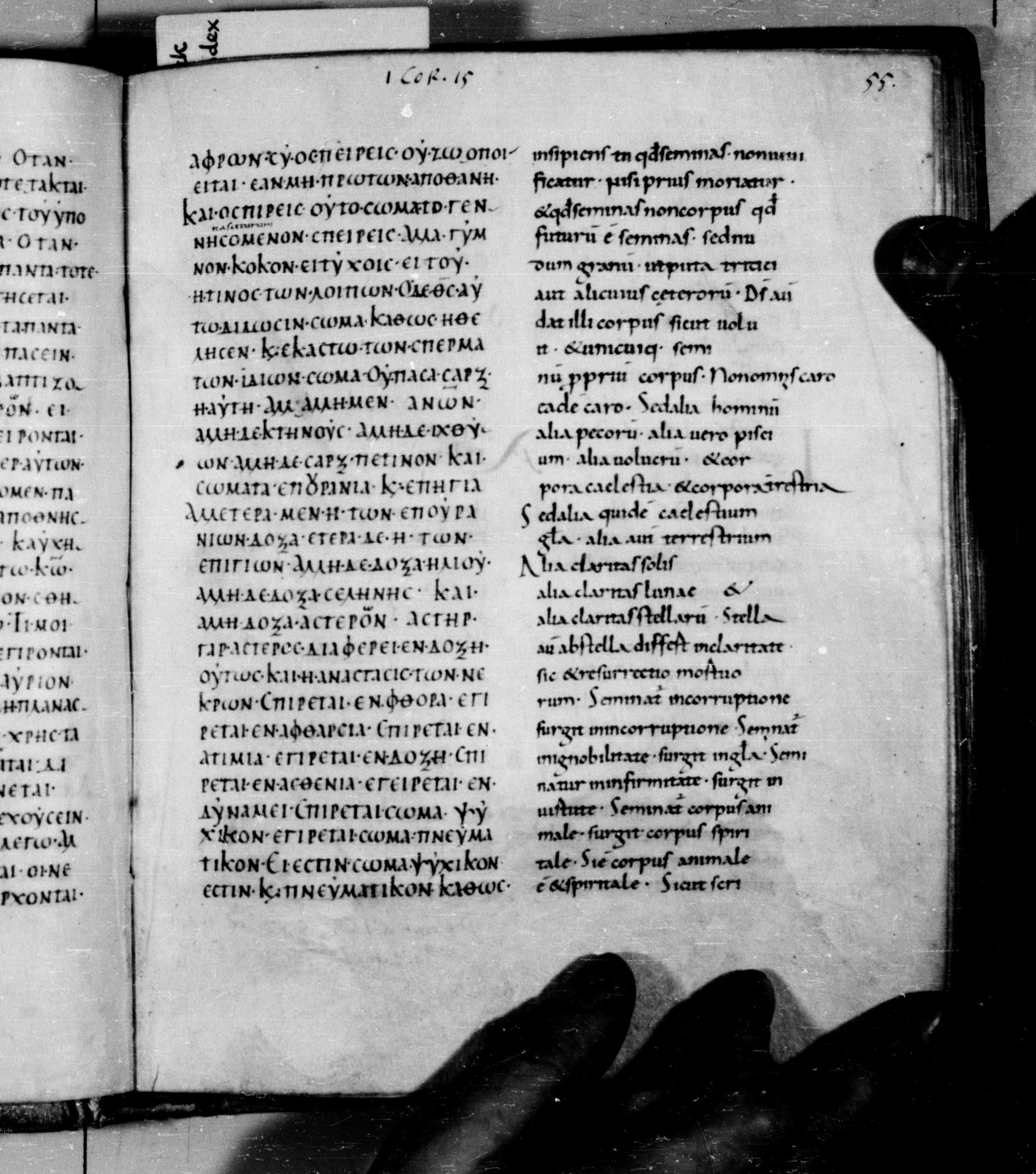 Codex Augiensis showing 1 Corinthians 15:41 from 9th Century found in Reichenau Abbey, Lake Constance, currently housed at Trinity College, Cambridge