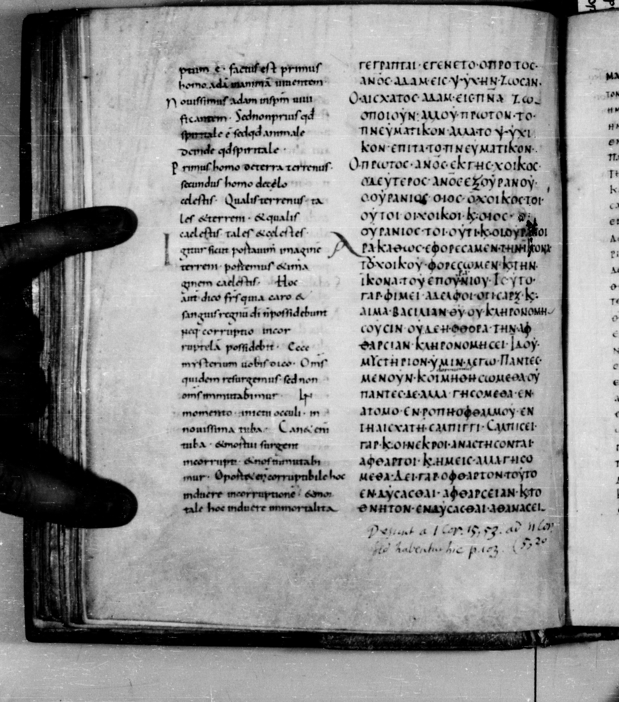 Codex Augiensis showing 1 Corinthians 15:49 from 9th Century found in Reichenau Abbey, Lake Constance, currently housed at Trinity College, Cambridge