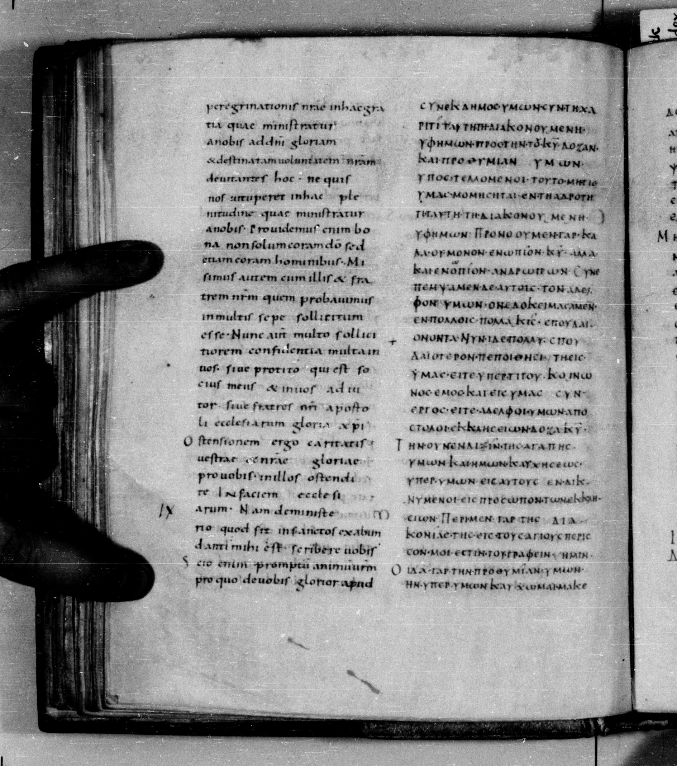 Codex Augiensis showing 2 Corinthians 8:21 from 9th Century found in Reichenau Abbey, Lake Constance, currently housed at Trinity College, Cambridge