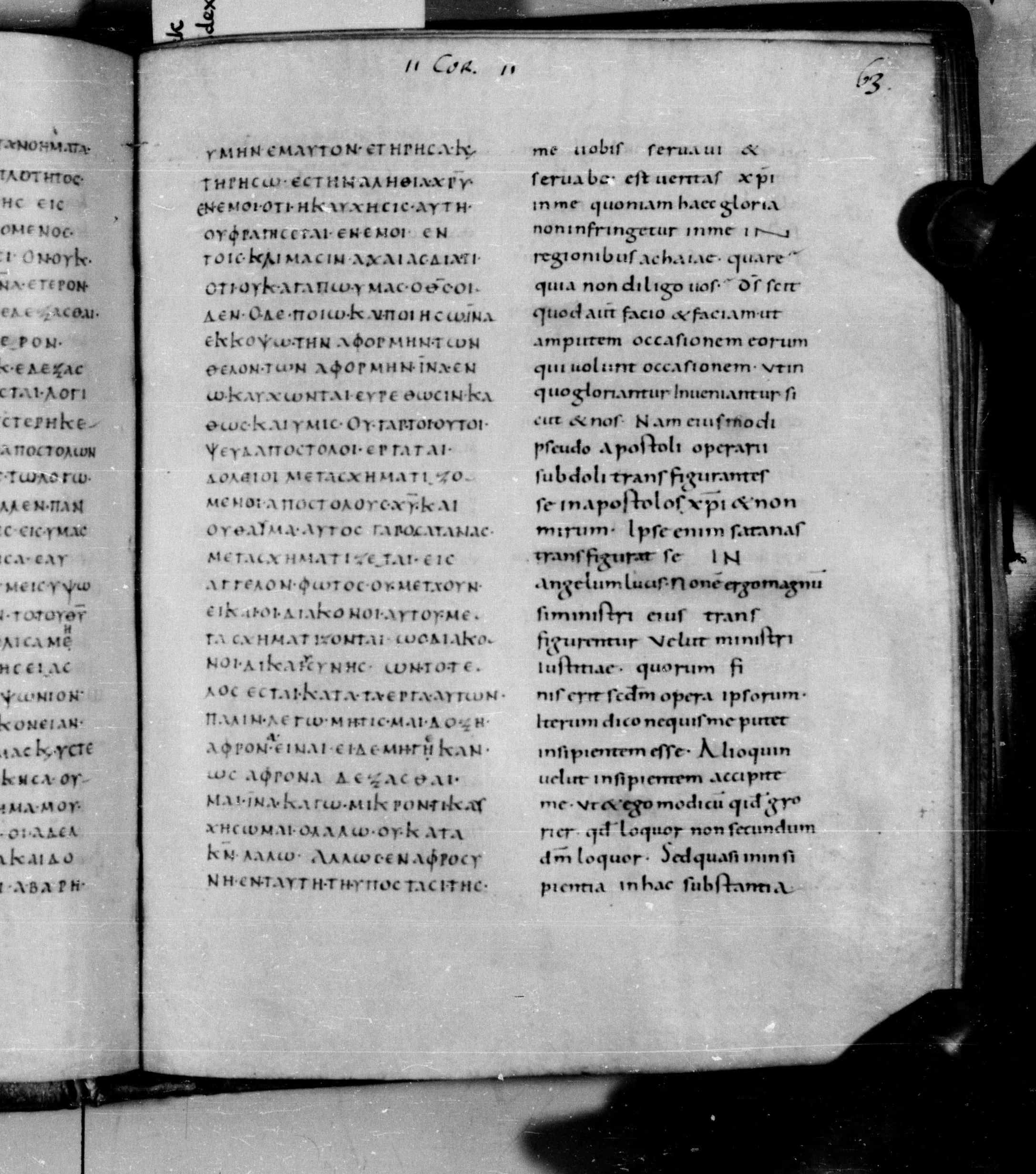 Codex Augiensis showing 2 Corinthians 11:13 from 9th Century found in Reichenau Abbey, Lake Constance, currently housed at Trinity College, Cambridge