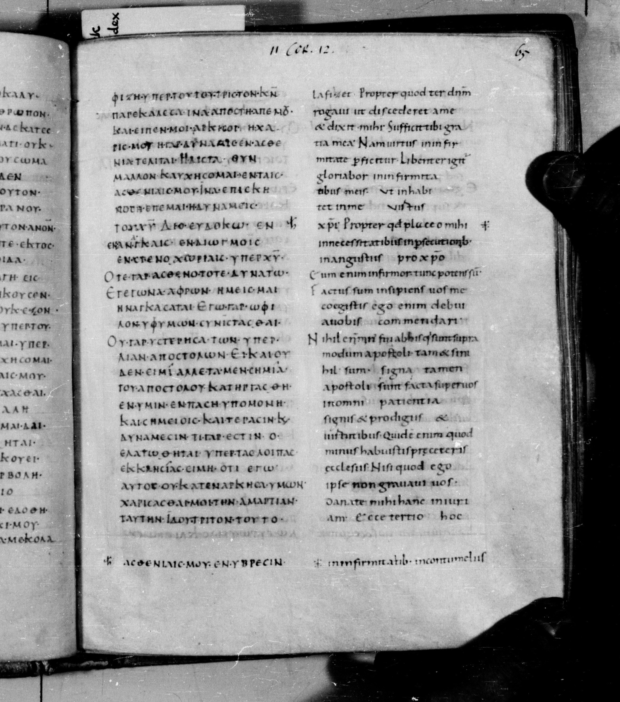 Codex Augiensis (Scan 2) showing 2 Corinthians 12:7 from 9th Century found in Reichenau Abbey, Lake Constance, currently housed at Trinity College, Cambridge