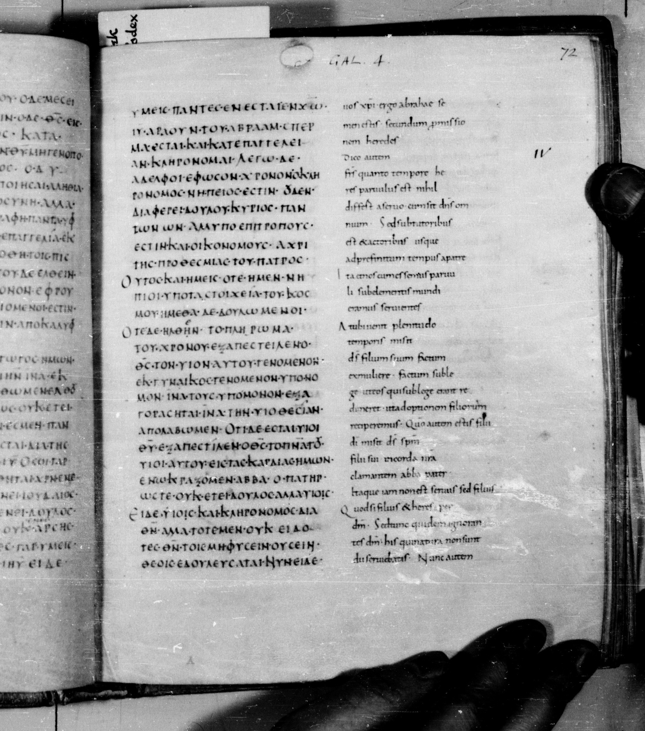 Codex Augiensis showing Galatians 4:2 from 9th Century found in Reichenau Abbey, Lake Constance, currently housed at Trinity College, Cambridge