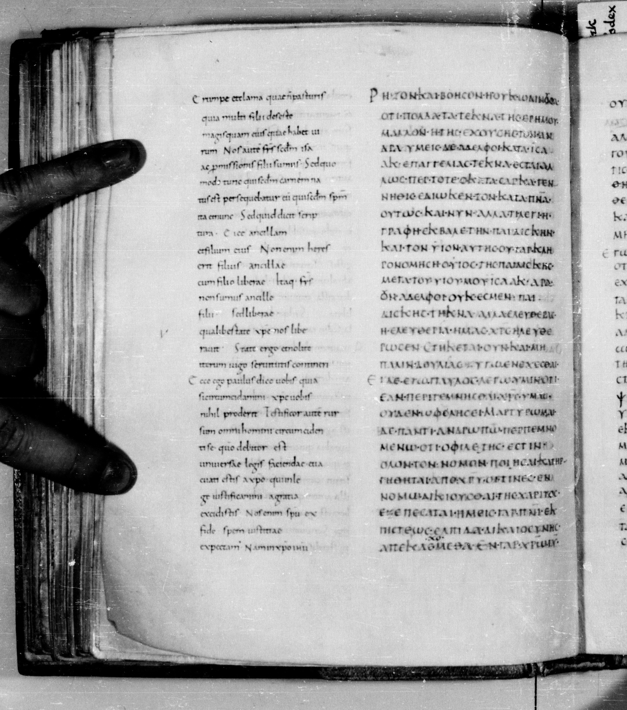 Codex Augiensis showing Galatians 5:2 from 9th Century found in Reichenau Abbey, Lake Constance, currently housed at Trinity College, Cambridge