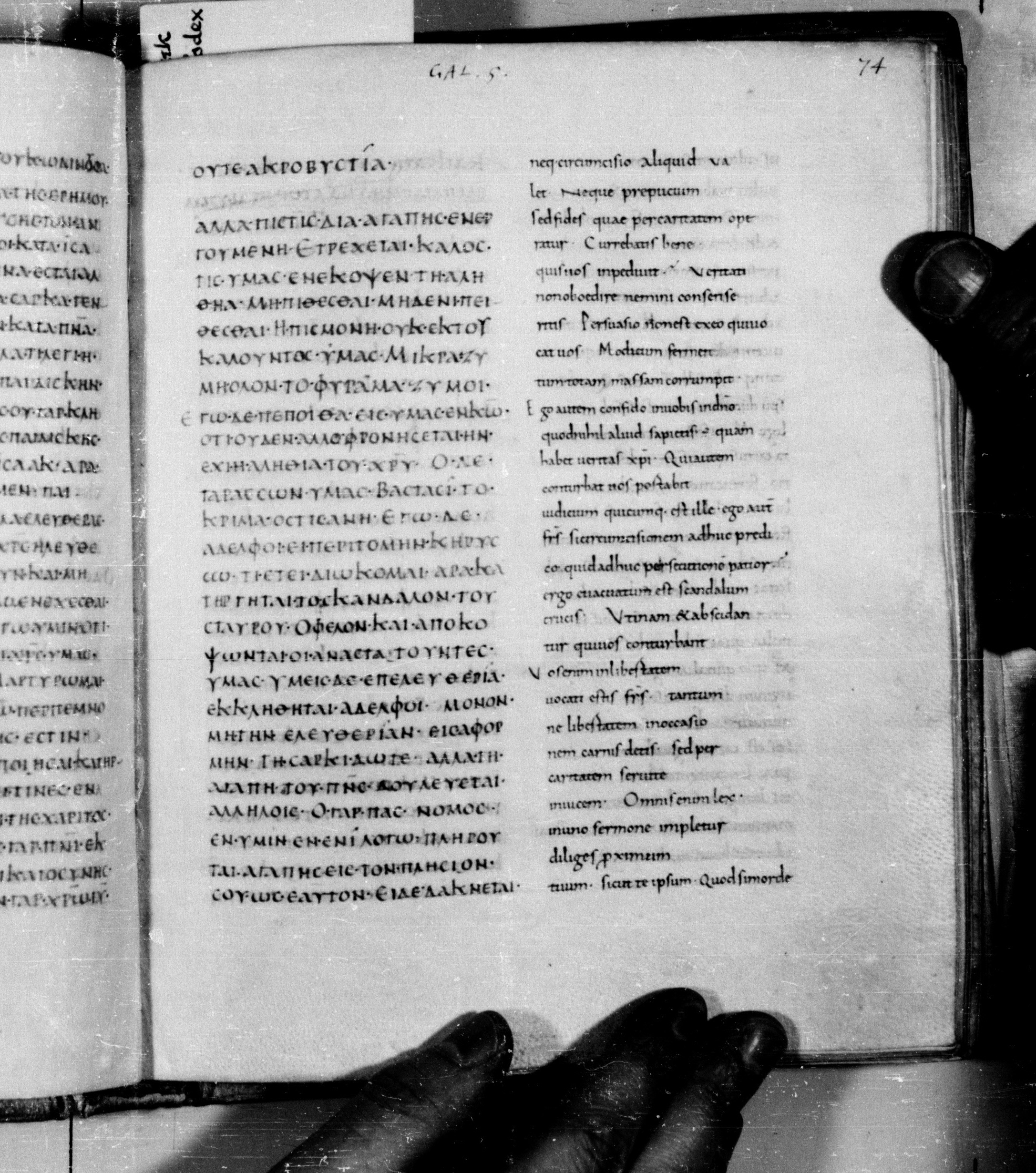 Codex Augiensis showing Galatians 5:7 from 9th Century found in Reichenau Abbey, Lake Constance, currently housed at Trinity College, Cambridge