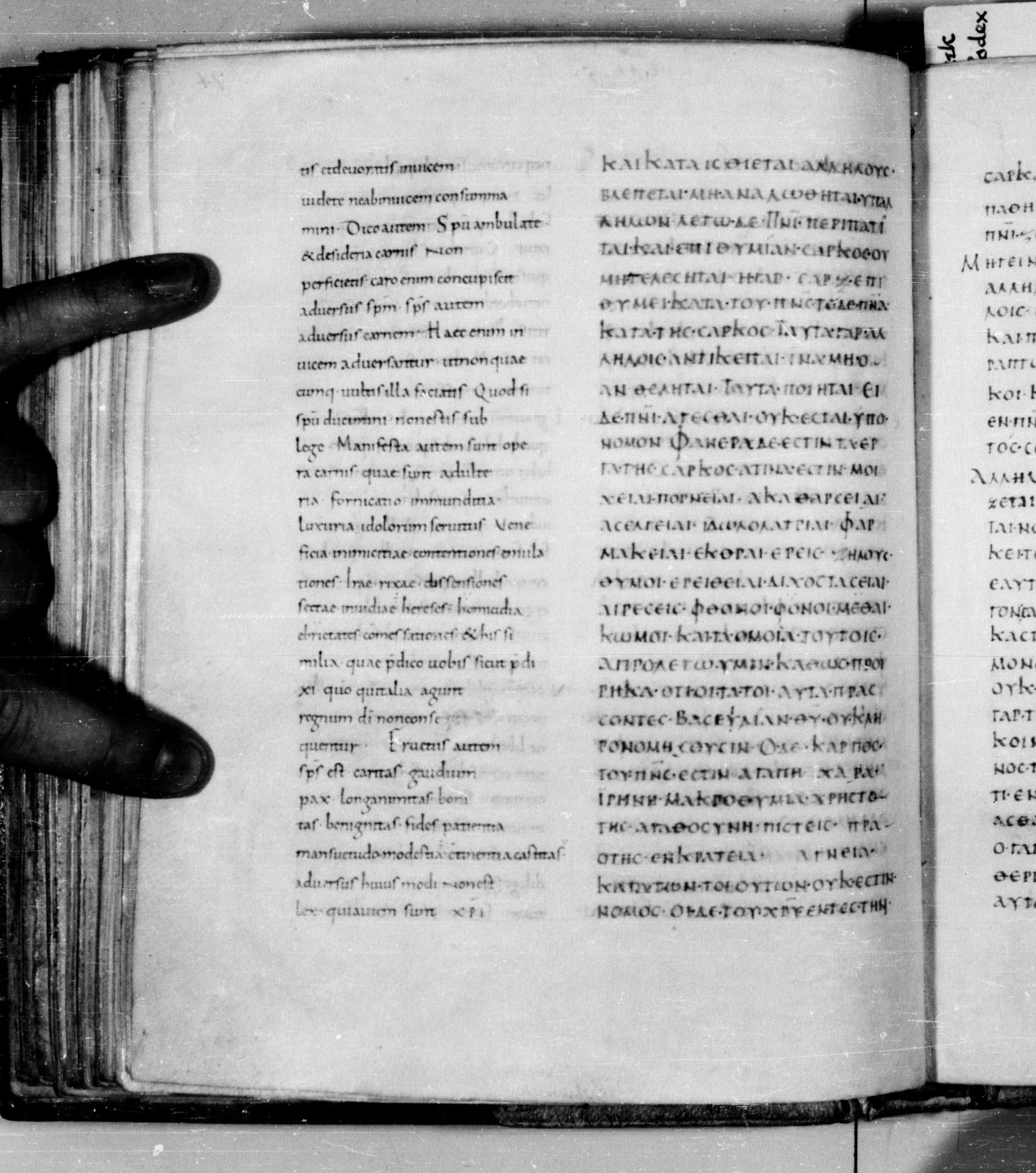 Codex Augiensis showing Galatians 5:21 from 9th Century found in Reichenau Abbey, Lake Constance, currently housed at Trinity College, Cambridge