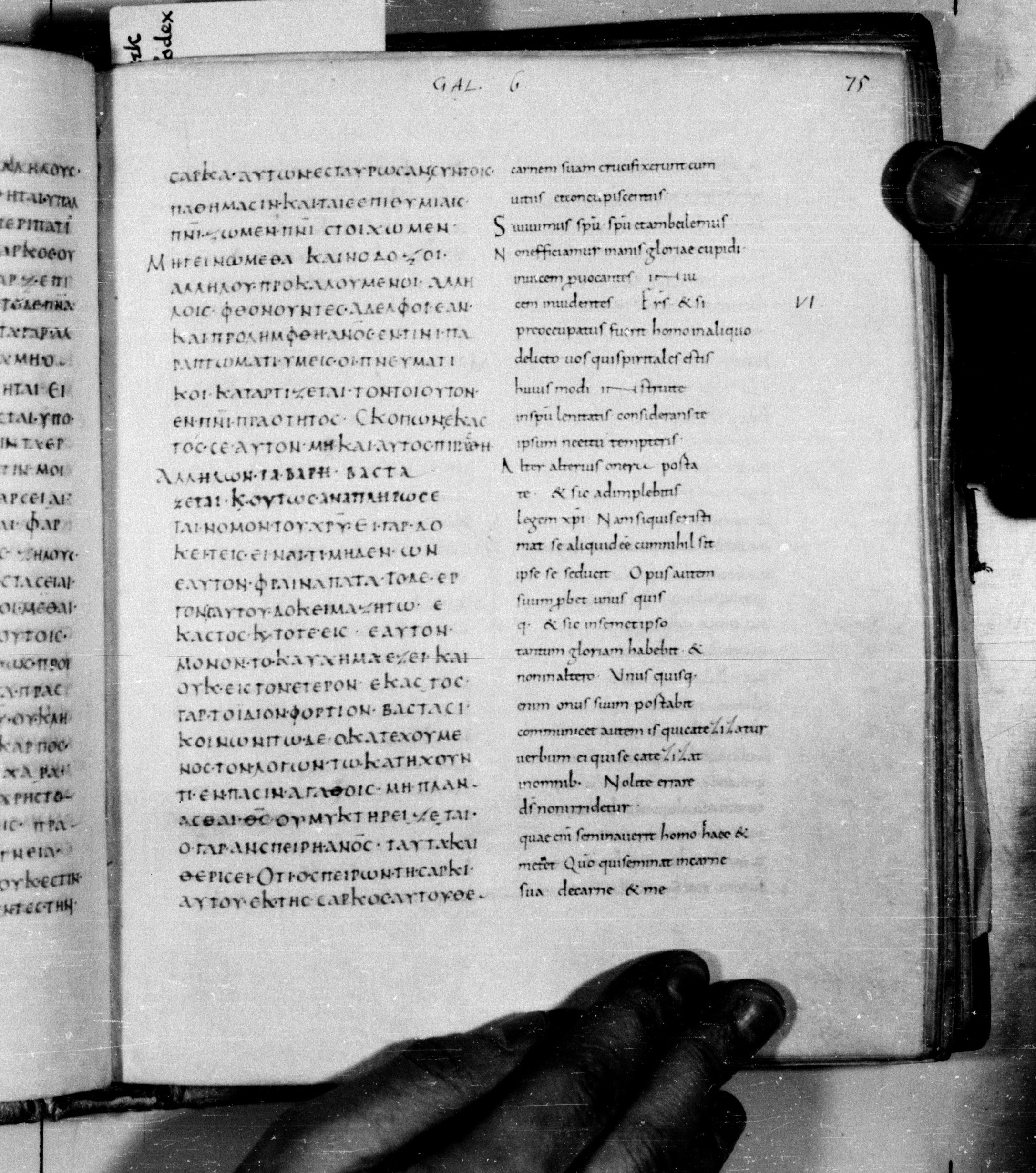 Codex Augiensis showing Galatians 6:4 from 9th Century found in Reichenau Abbey, Lake Constance, currently housed at Trinity College, Cambridge