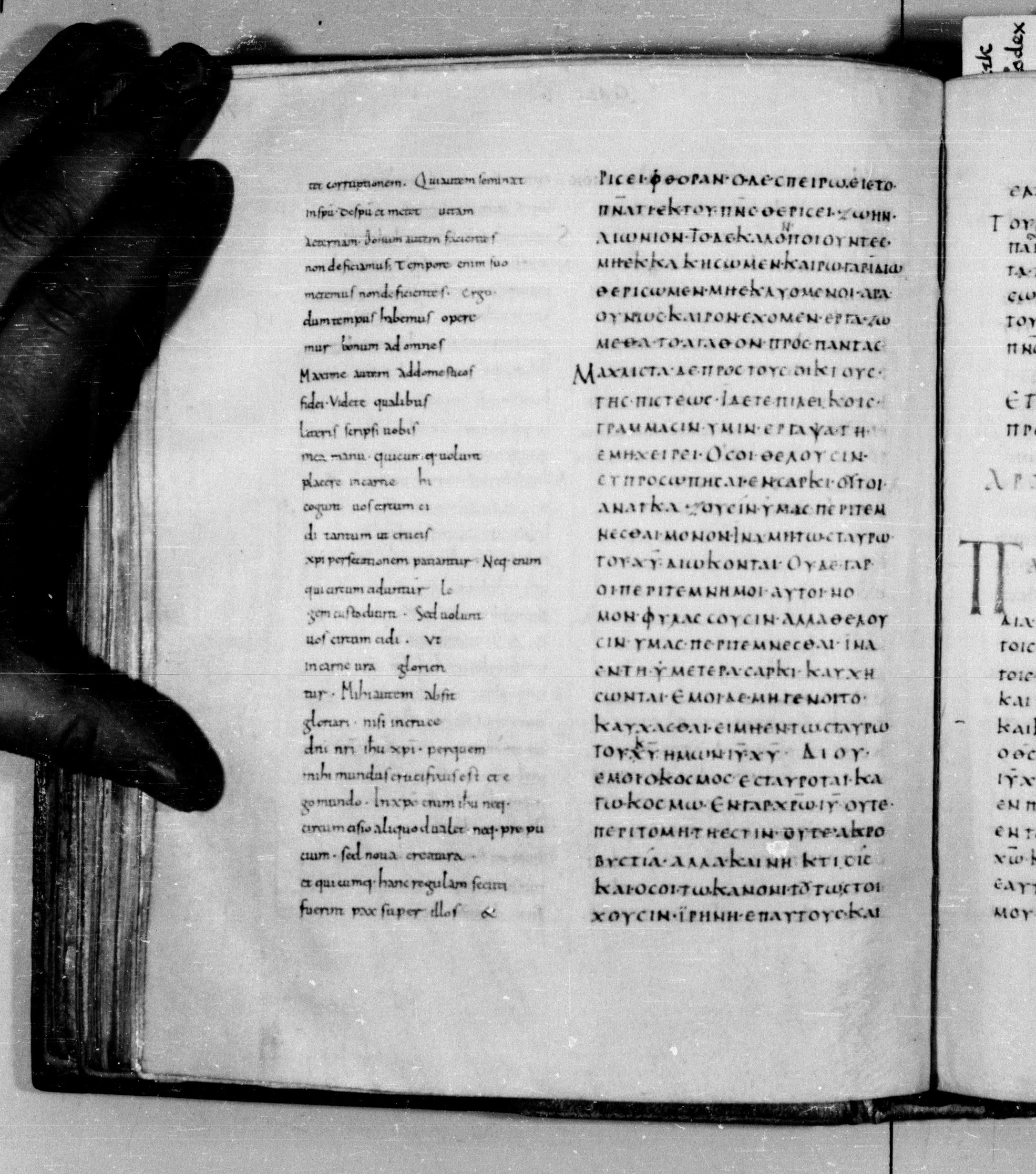 Codex Augiensis (Scan 2) showing Galatians 6:8 from 9th Century found in Reichenau Abbey, Lake Constance, currently housed at Trinity College, Cambridge