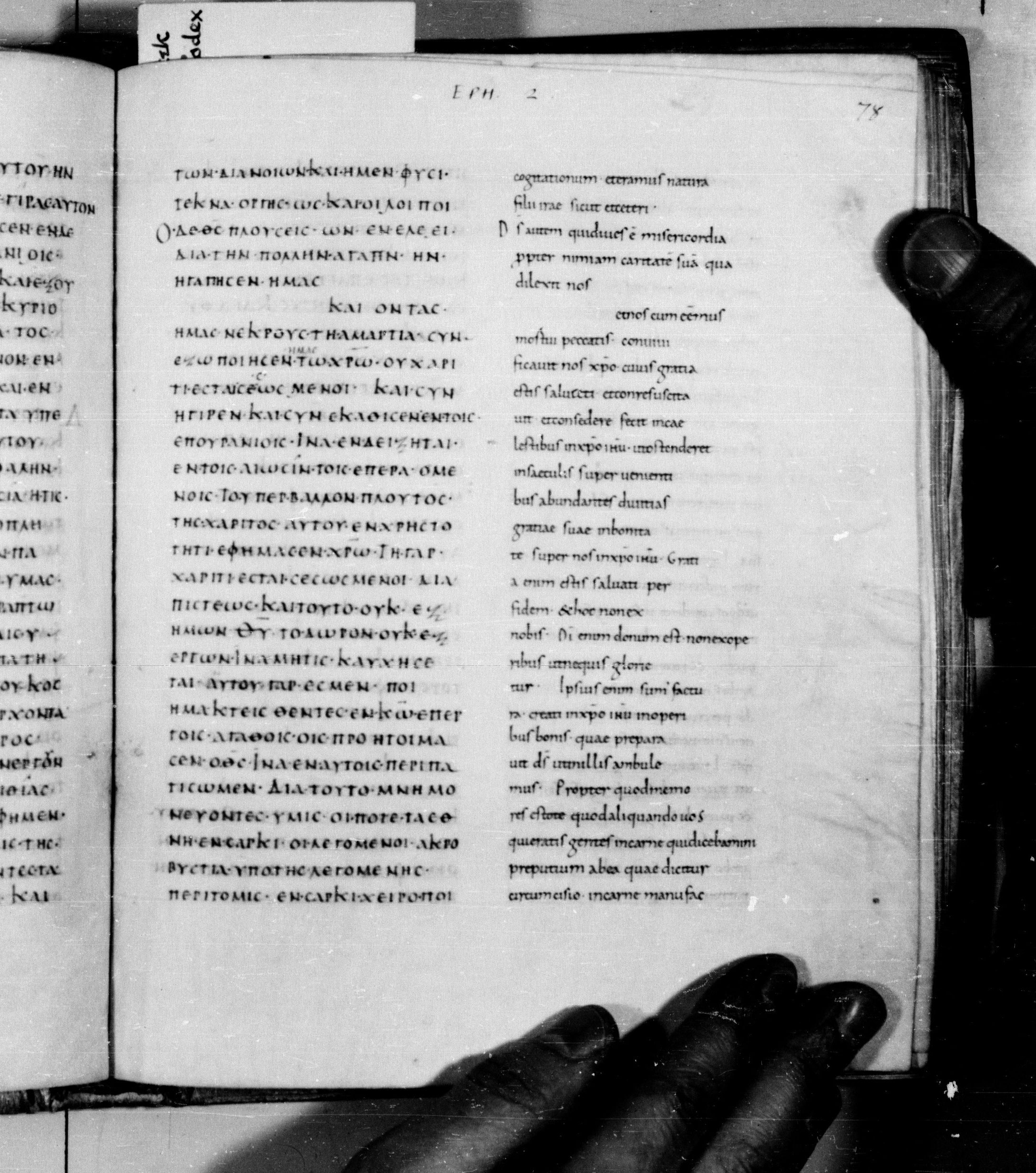 Codex Augiensis showing Ephesians 2:7 from 9th Century found in Reichenau Abbey, Lake Constance, currently housed at Trinity College, Cambridge