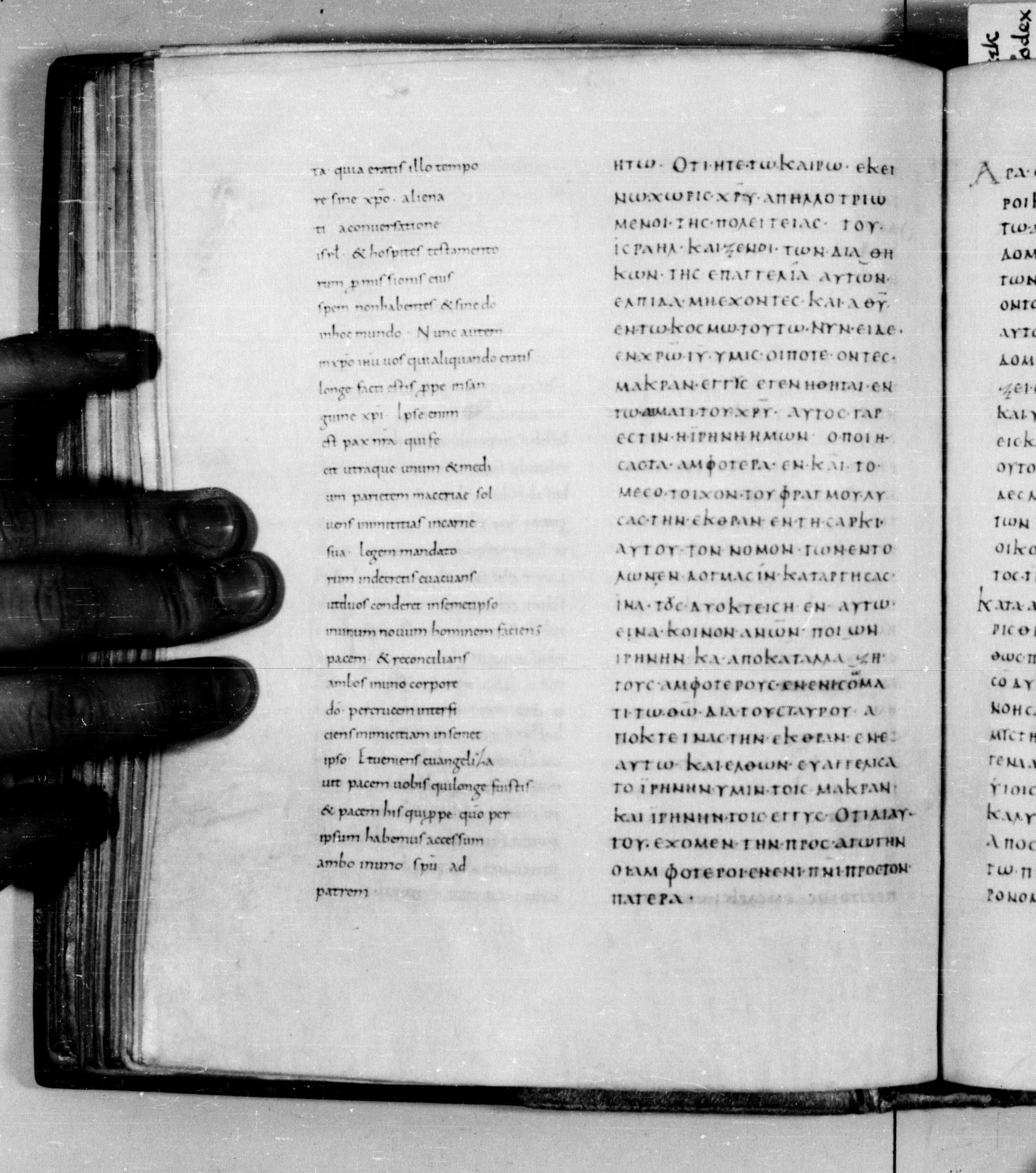 Codex Augiensis showing Ephesians 2:16 from 9th Century found in Reichenau Abbey, Lake Constance, currently housed at Trinity College, Cambridge