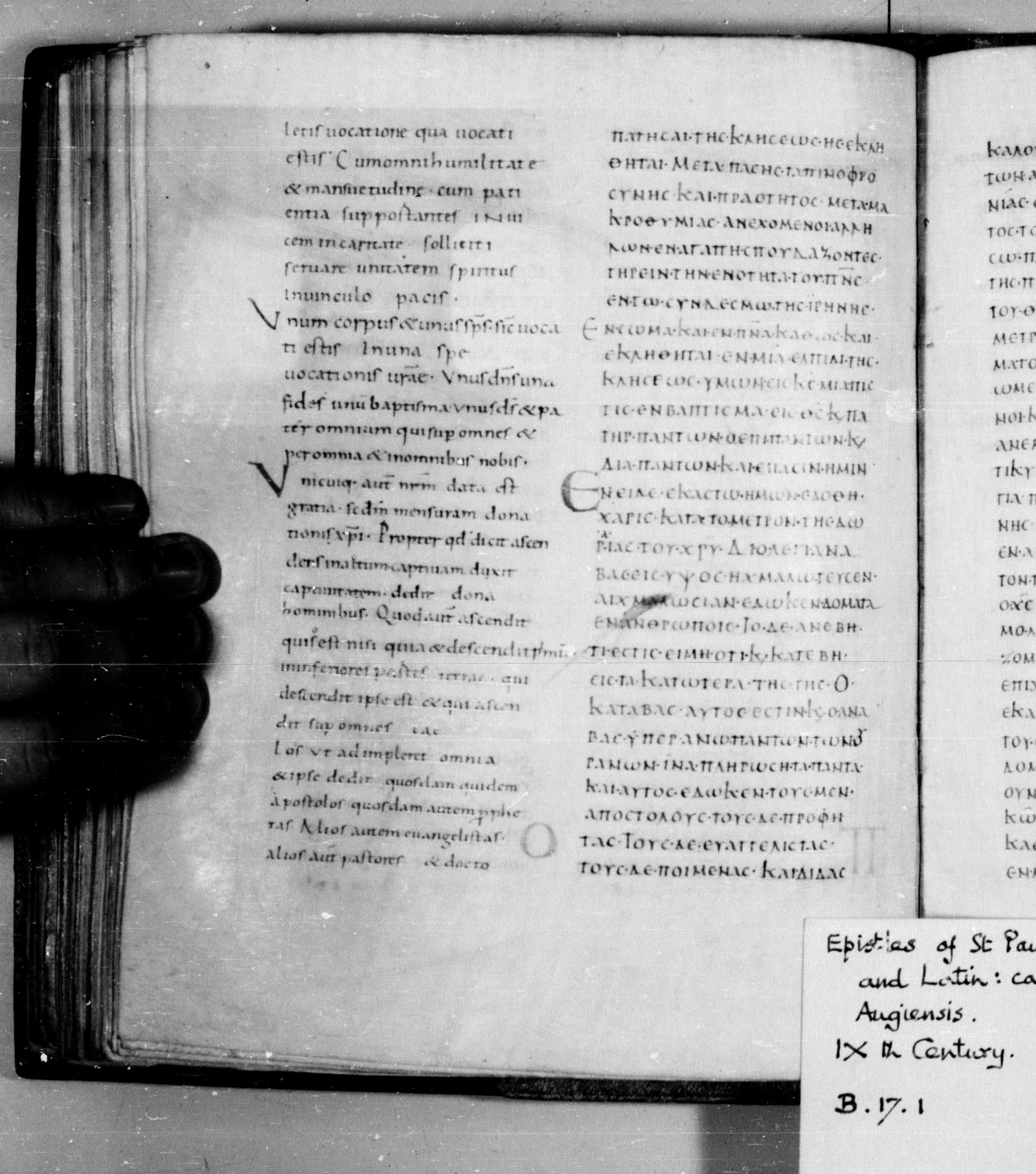 Codex Augiensis showing Ephesians 4:2 from 9th Century found in Reichenau Abbey, Lake Constance, currently housed at Trinity College, Cambridge