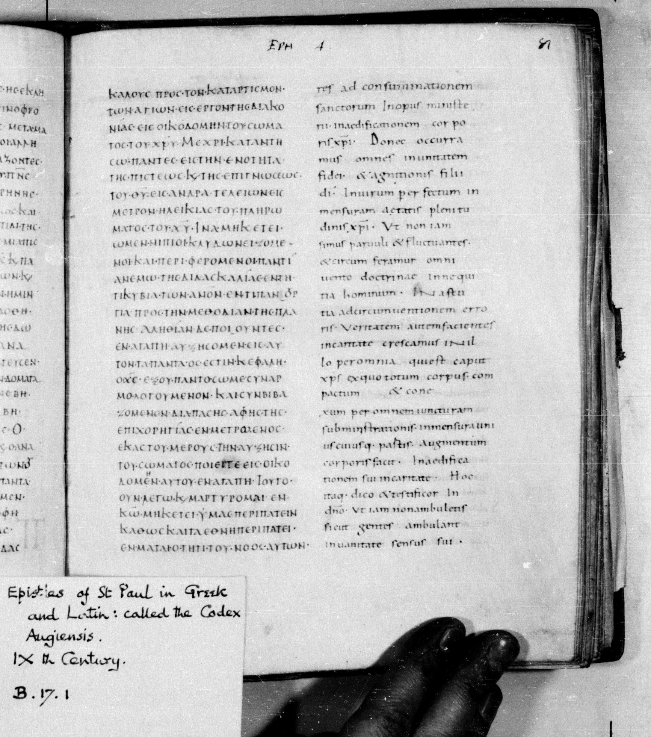 Codex Augiensis showing Ephesians 4:16 from 9th Century found in Reichenau Abbey, Lake Constance, currently housed at Trinity College, Cambridge