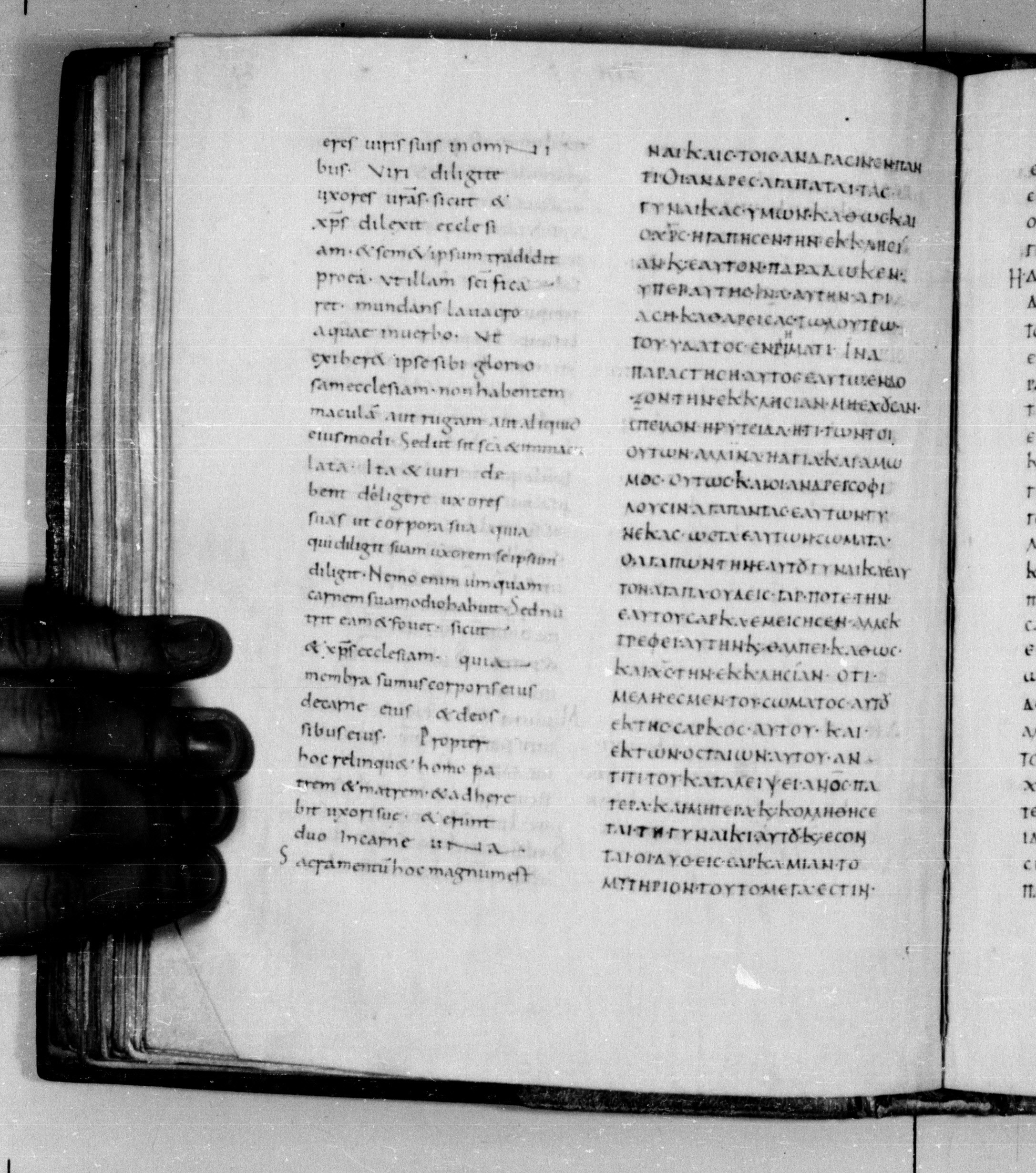 Codex Augiensis showing Ephesians 5:28 from 9th Century found in Reichenau Abbey, Lake Constance, currently housed at Trinity College, Cambridge
