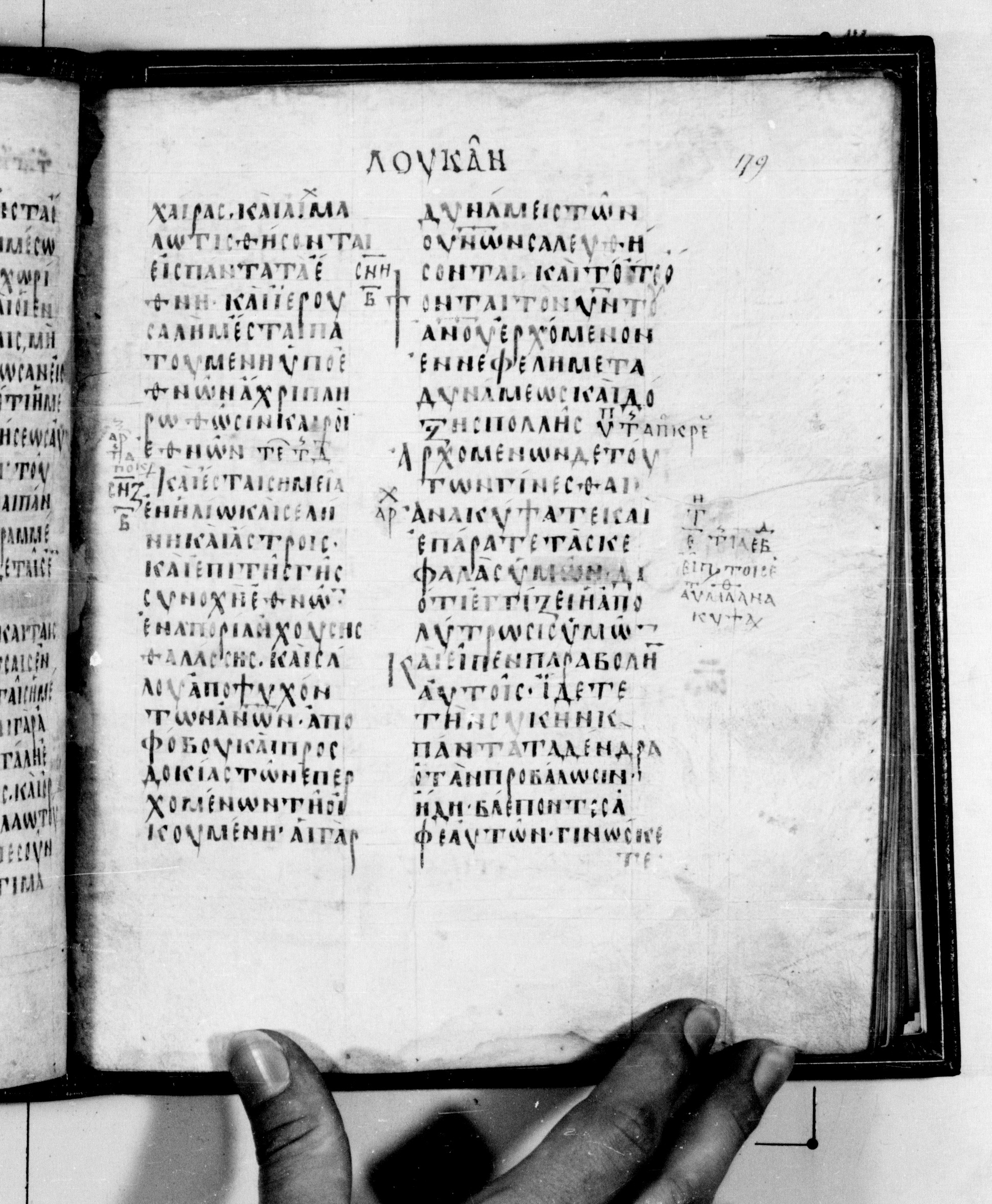 Codex Seidelianus I showing Luke 21:29 from 9th or 10th Century, currently housed at British Library, London / Trinity College, Cambridge