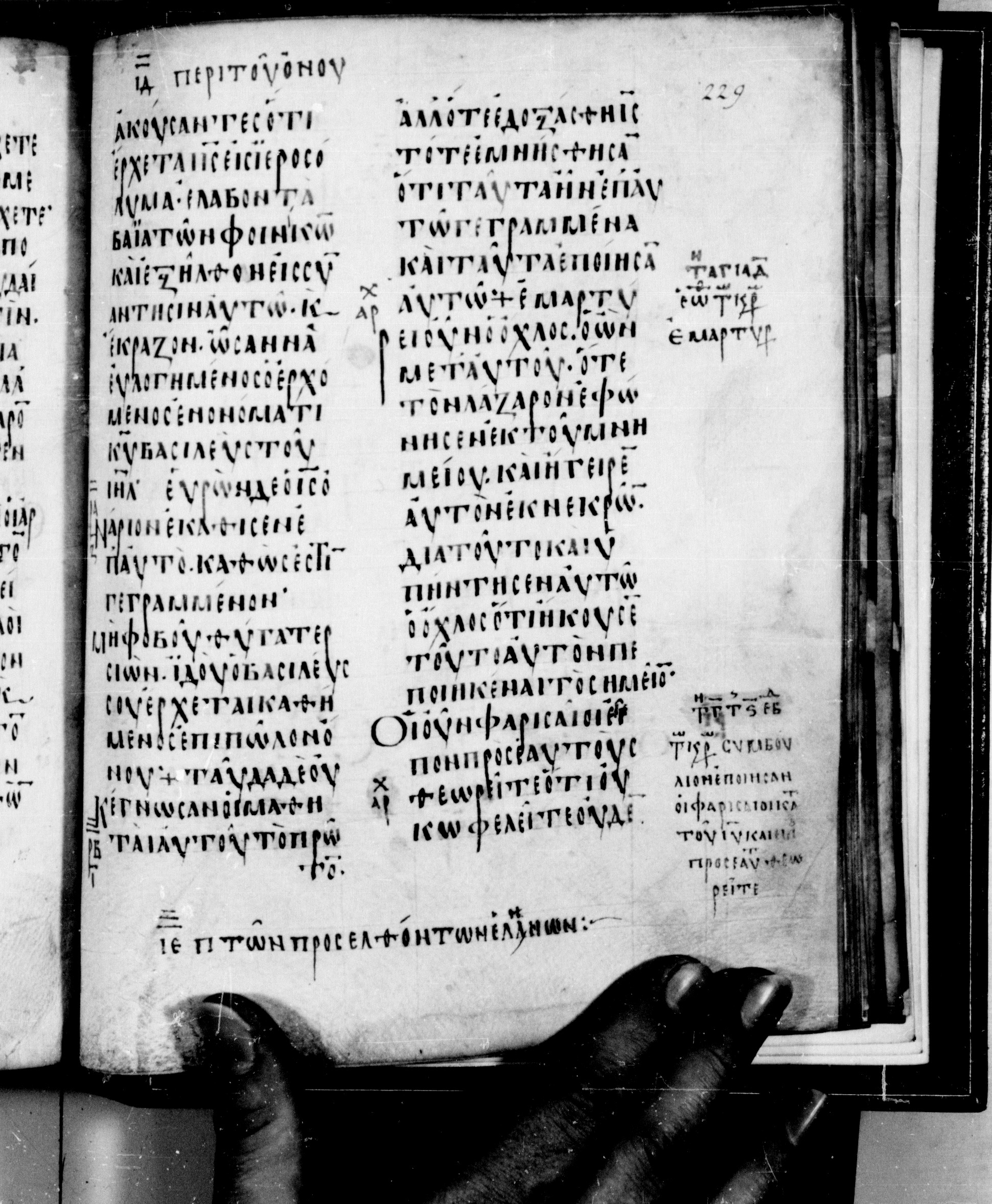 Codex Seidelianus I showing John 12:13 from 9th or 10th Century, currently housed at British Library, London / Trinity College, Cambridge
