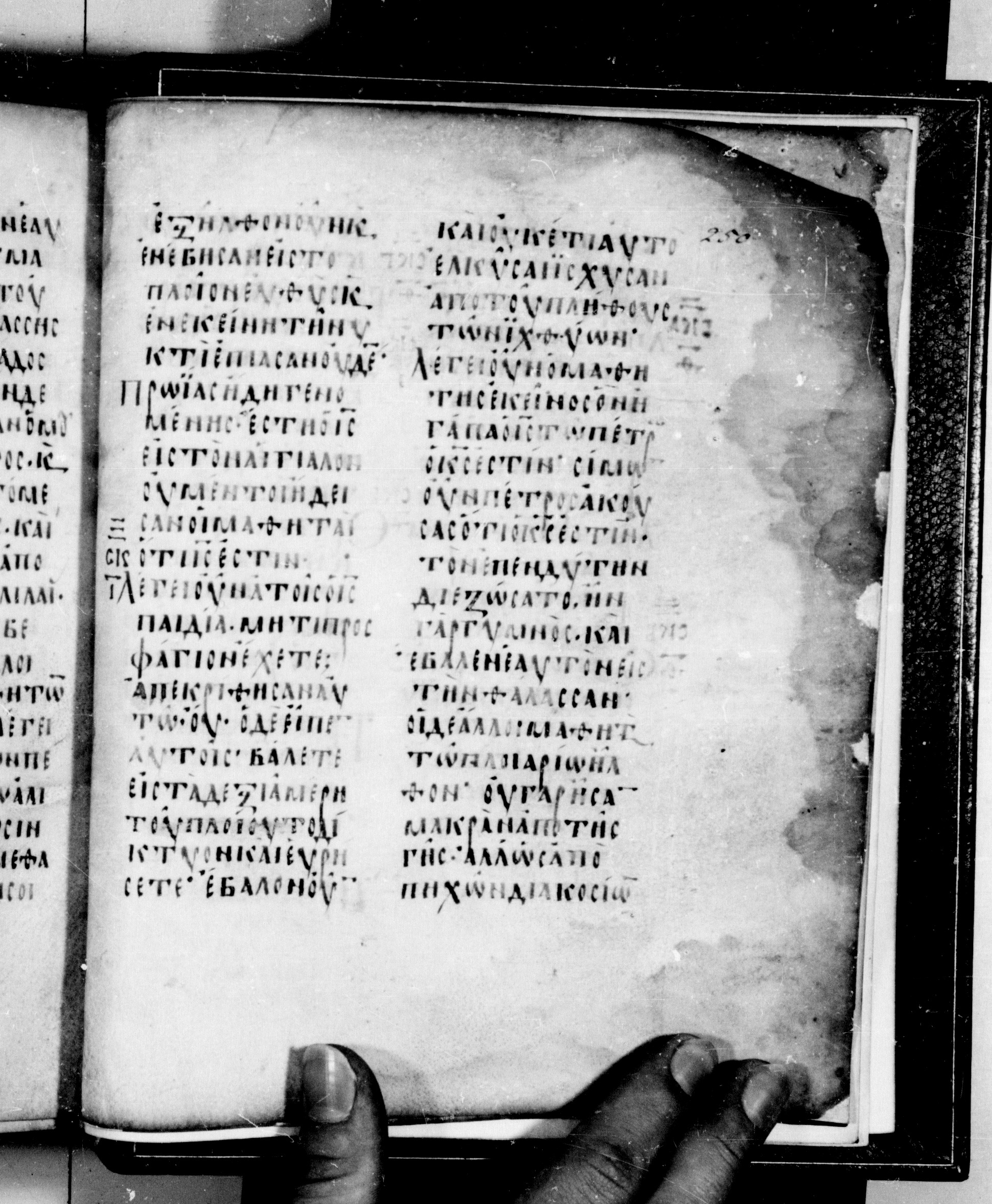 Codex Seidelianus I (Scan 2) showing John 21:3 from 9th or 10th Century, currently housed at British Library, London / Trinity College, Cambridge