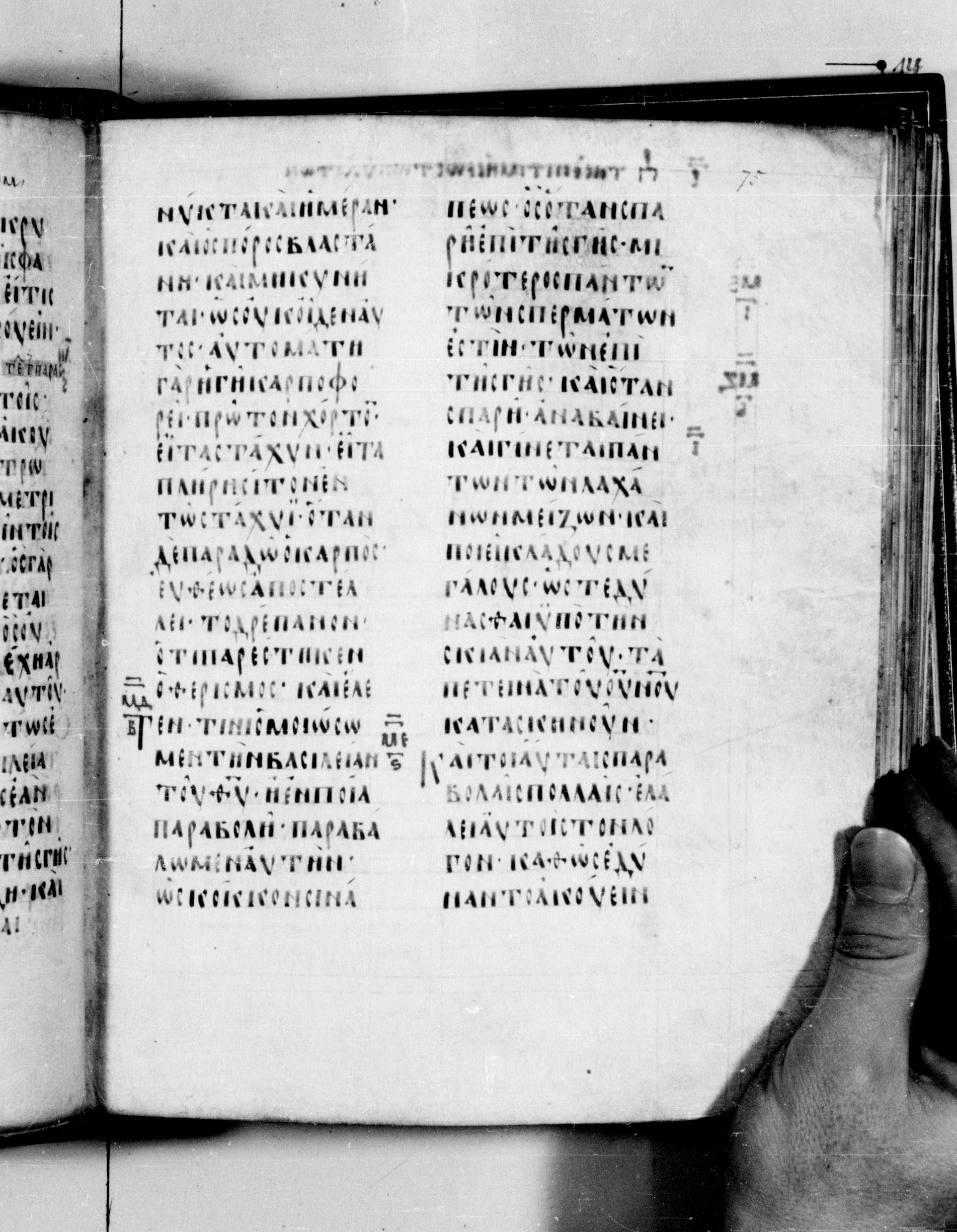 Codex Seidelianus I showing Mark 4:32 from 9th or 10th Century, currently housed at British Library, London / Trinity College, Cambridge