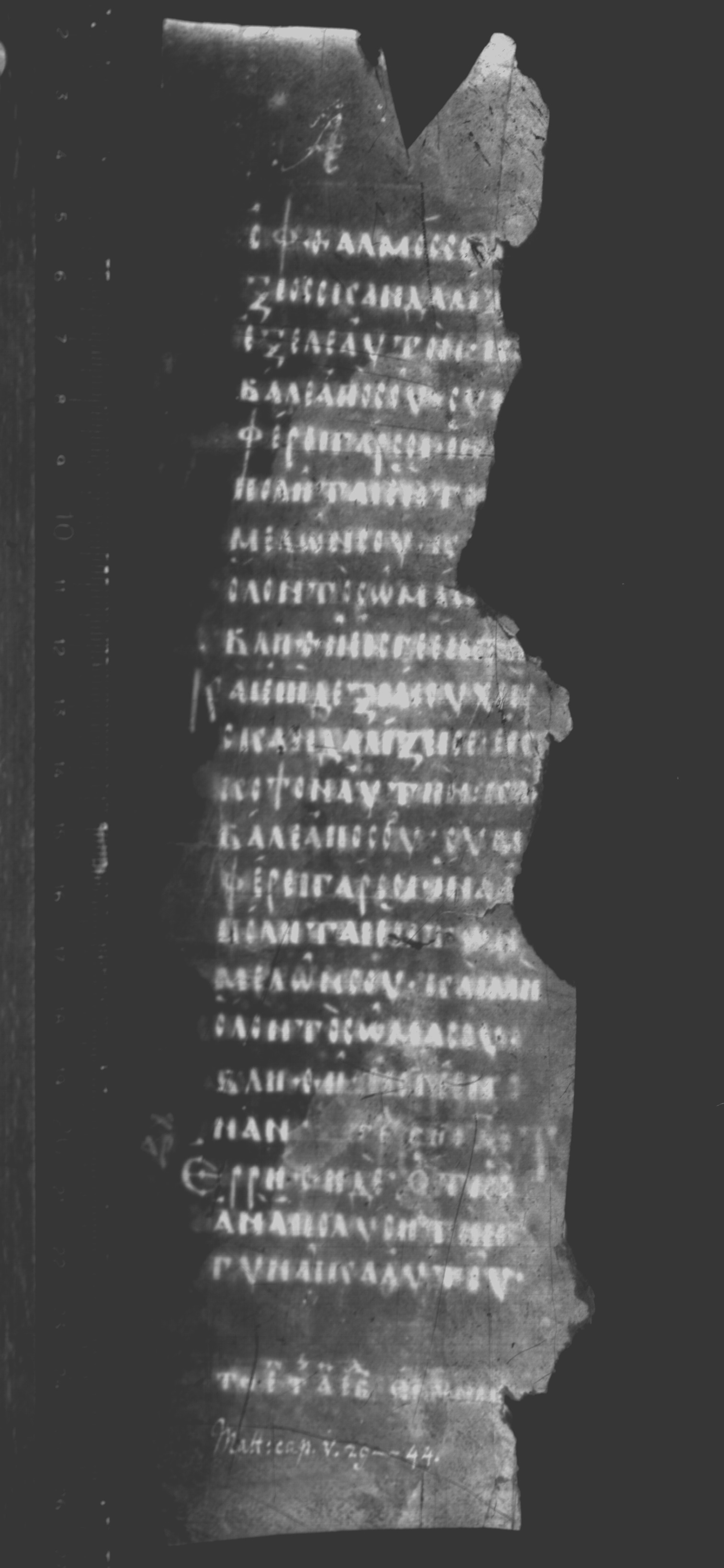Codex Seidelianus I showing Matthew 5:39 from 9th or 10th Century, currently housed at British Library, London / Trinity College, Cambridge